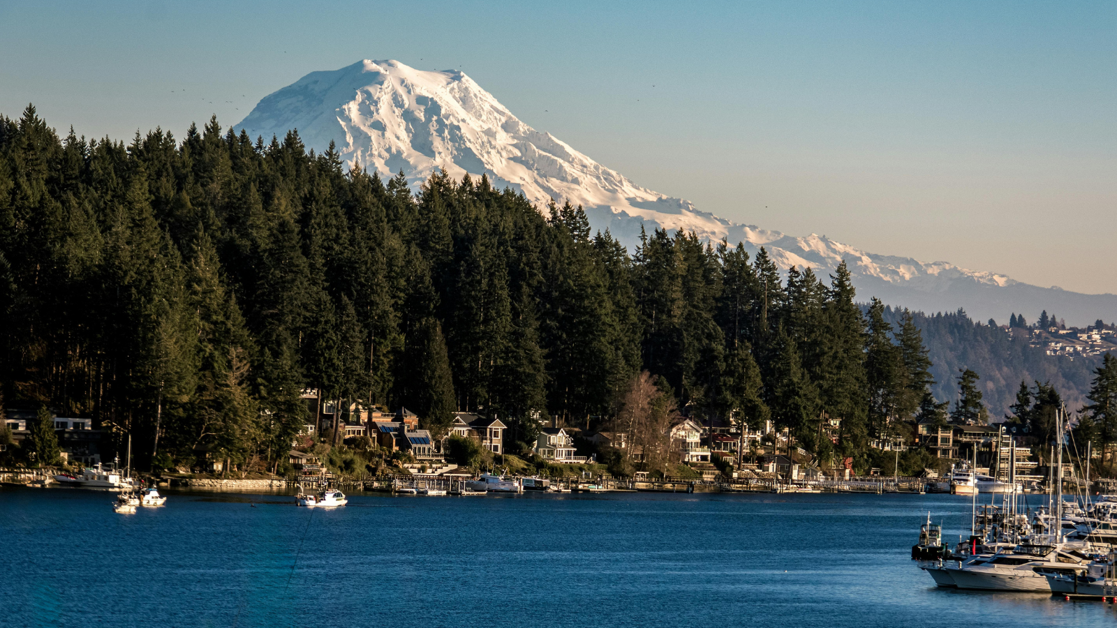 Opinion: You couldn’t pay me to leave Washington state, and I’d pay more to stay