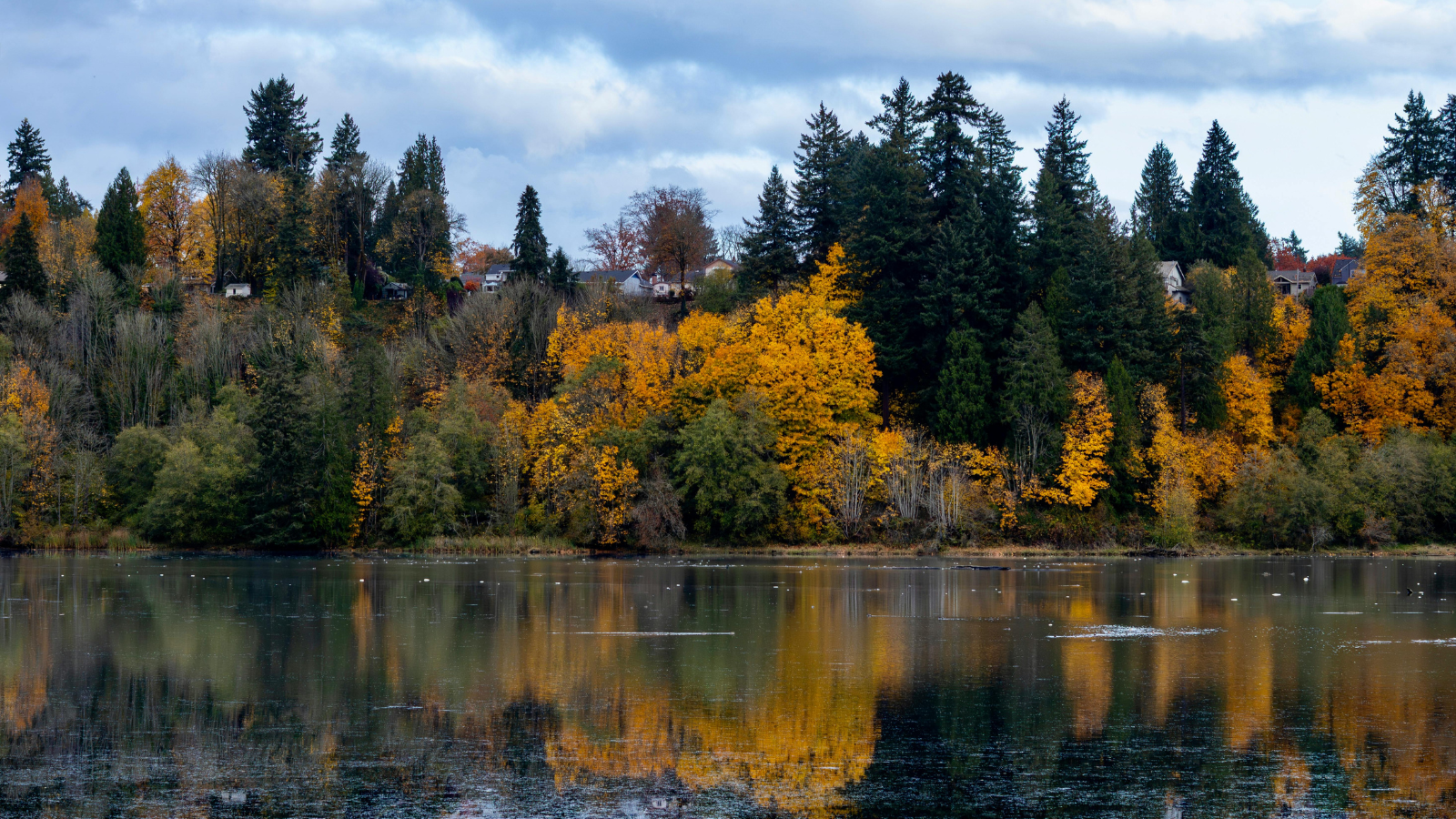 Islanders can come together to support a millionaires tax for kids and families