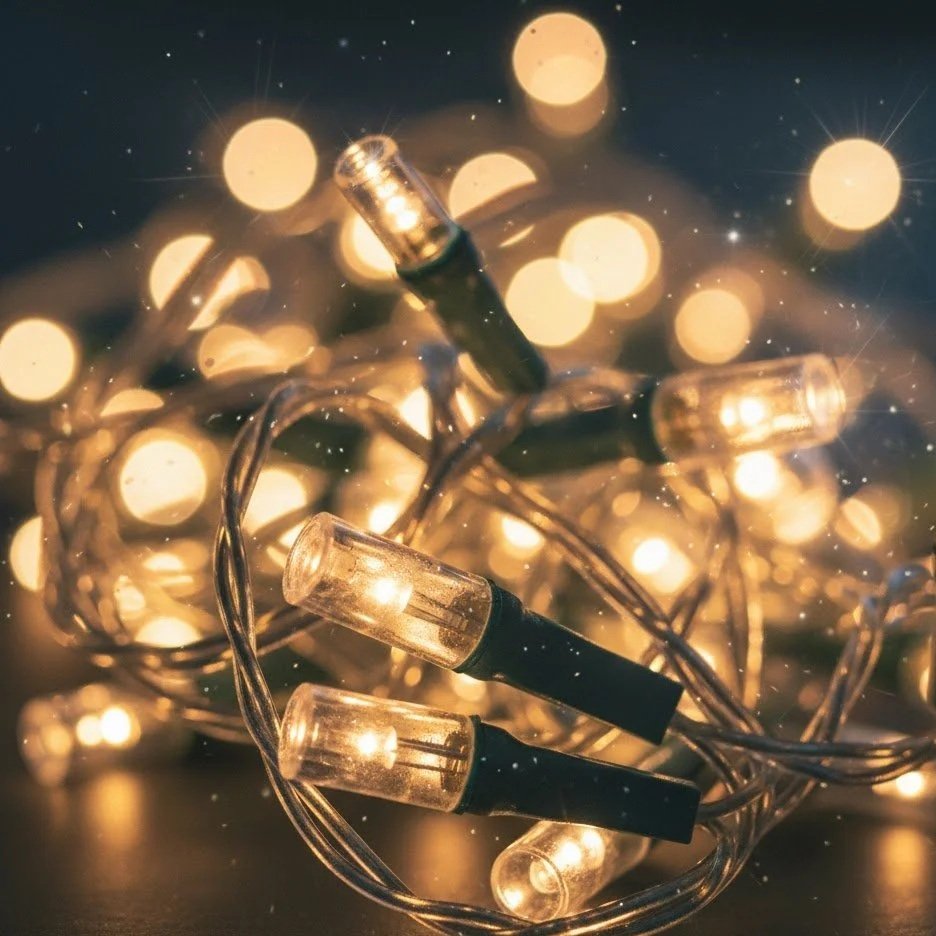 Christmas Light Installation and Removal