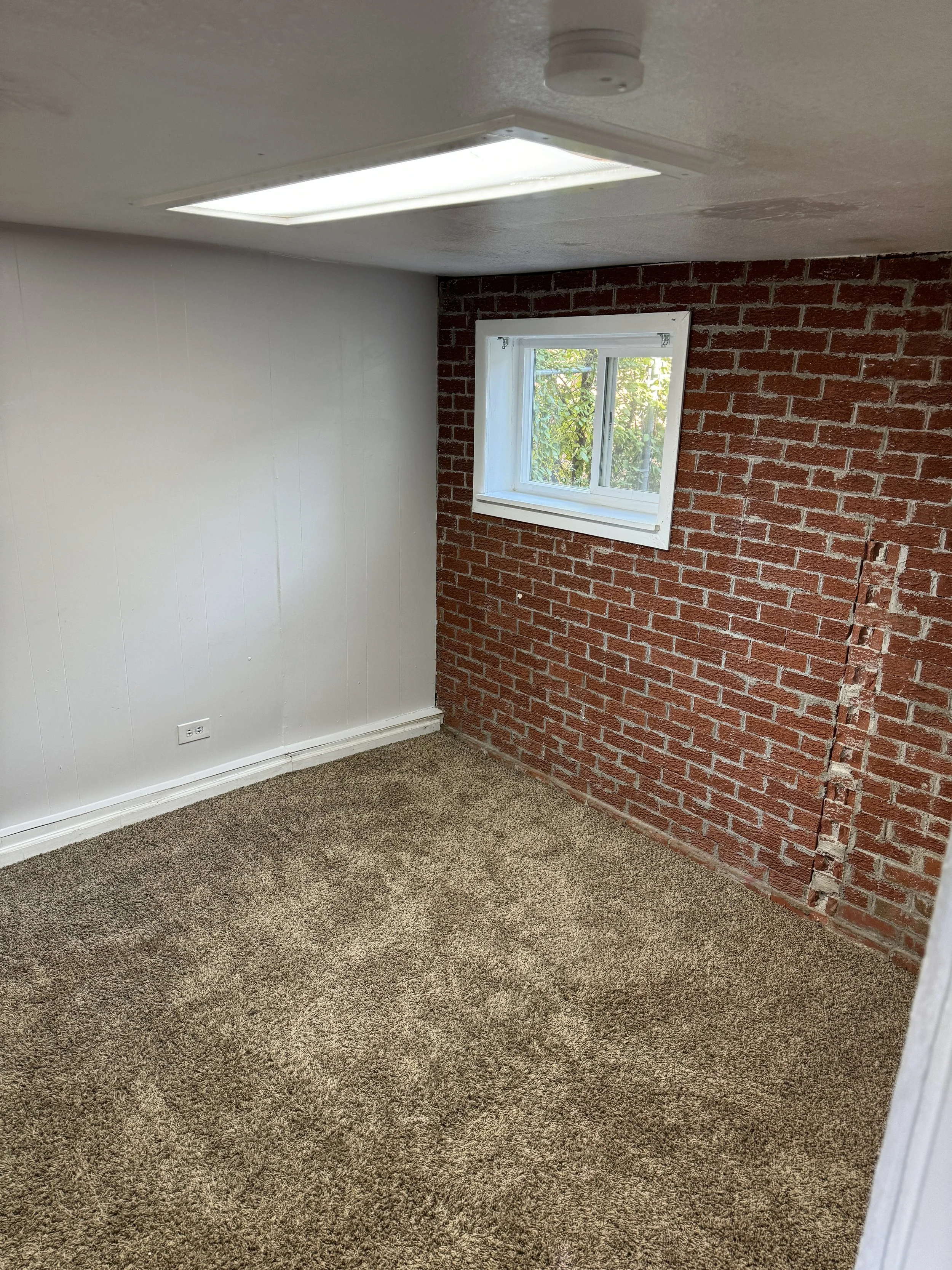 Empty room with beige carpet, white wall, red brick wall, a window with white frame, and an overhead fluorescent light fixture.