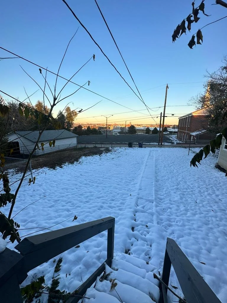 Snow-covered backyard steps leading to a snow-covered lawn, with leafless trees, buildings, and a clear blue sky at sunset in the background.