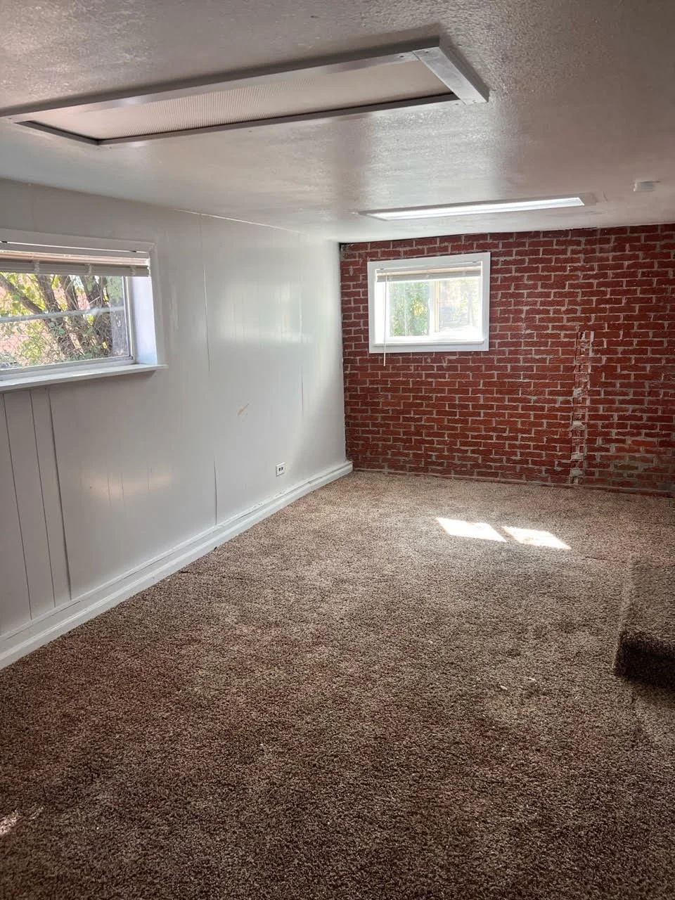 Empty room with beige carpet, white painted wall, brick accent wall, and two windows allowing natural light.