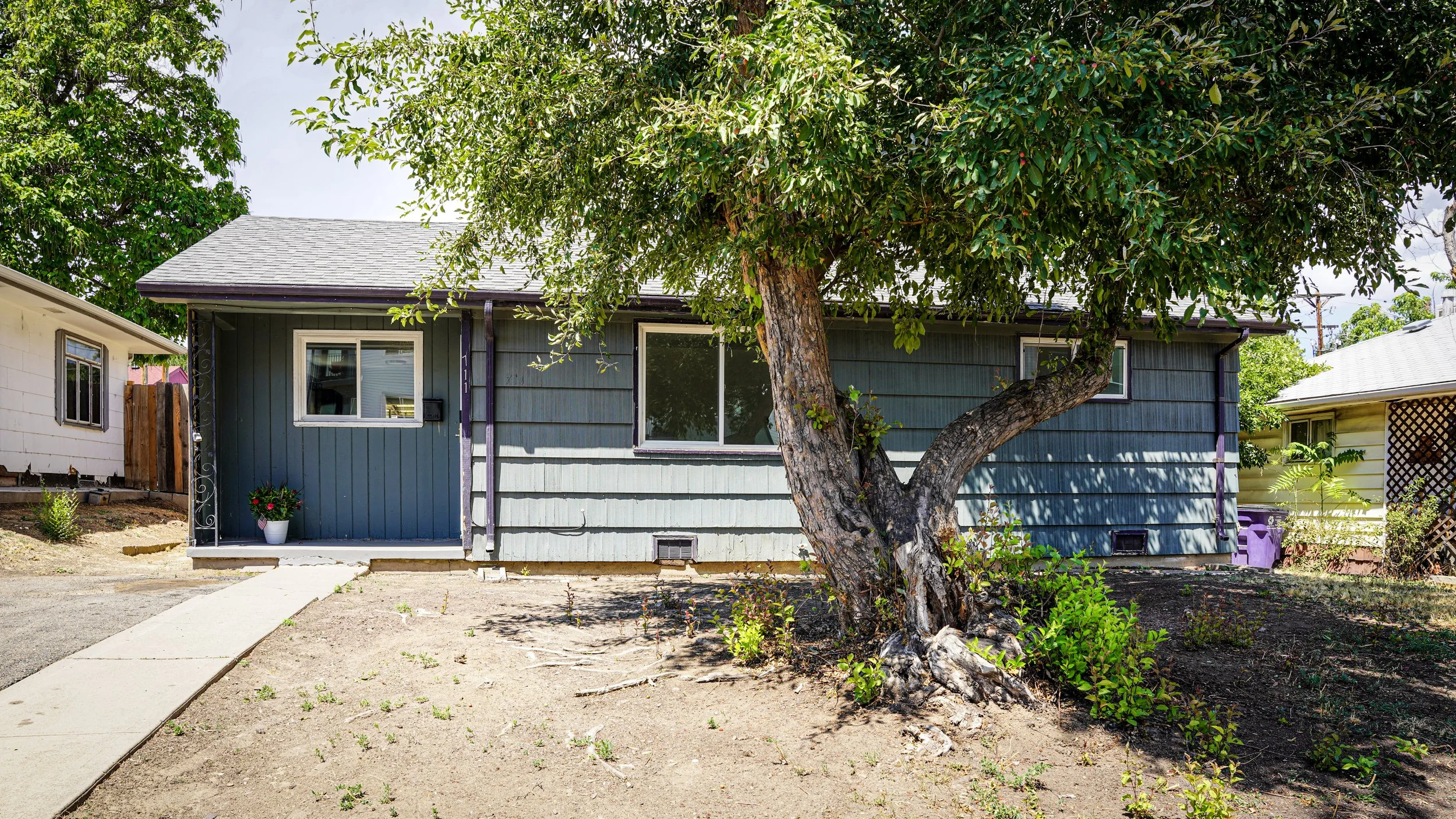 Front view of a blue house with a porch, a large tree in front, and neighboring houses on both sides, on a sunny day.