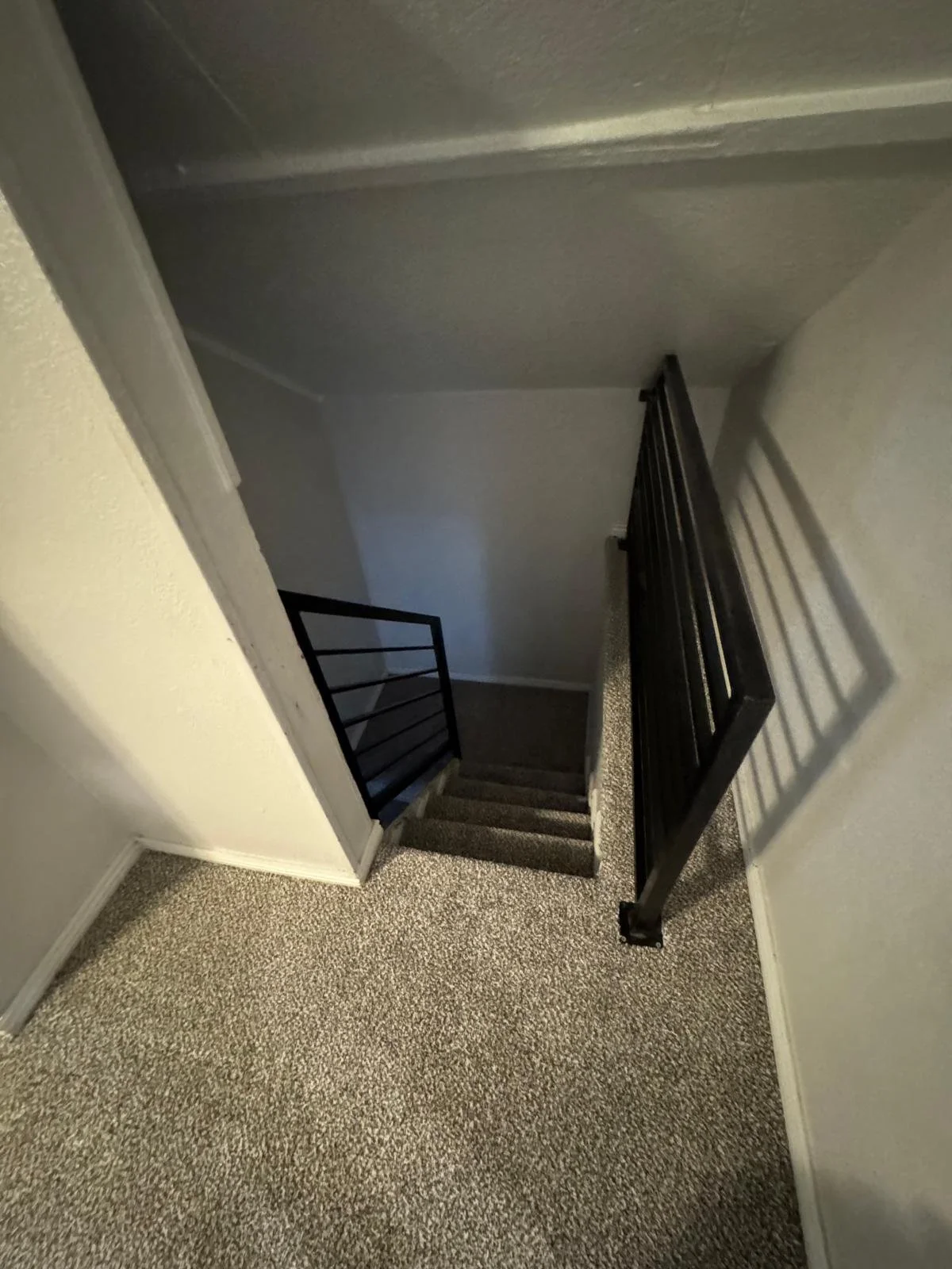 Top view of a staircase with beige carpet leading down to a dimly-lit lower level, with black metal railings on the side and an open black safety gate at the top of the stairs.