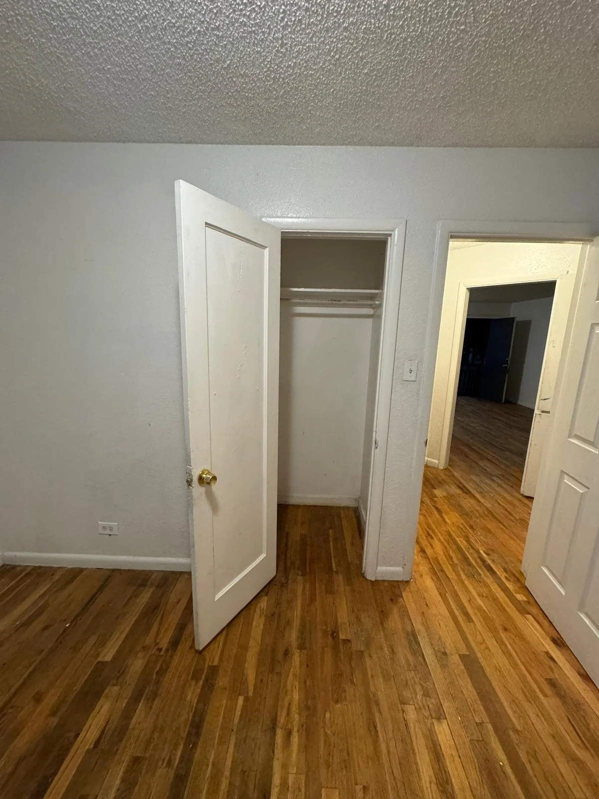 Empty closet with white door open, wooden flooring, other room visible with similar flooring.