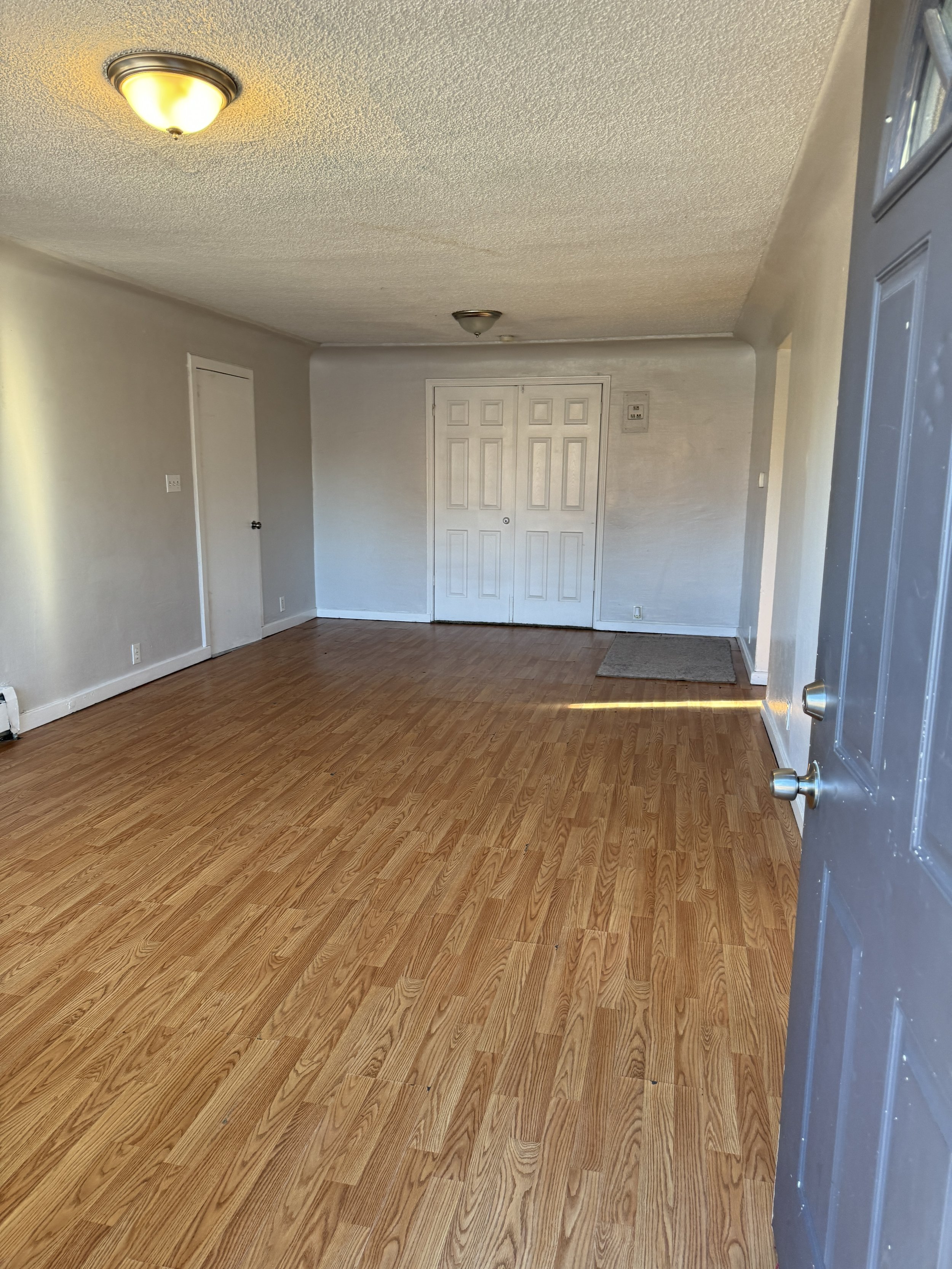 Empty living room with wood flooring, white walls, two ceiling lights, a door on the left, a double closet in the background, and a small mat near the entrance.