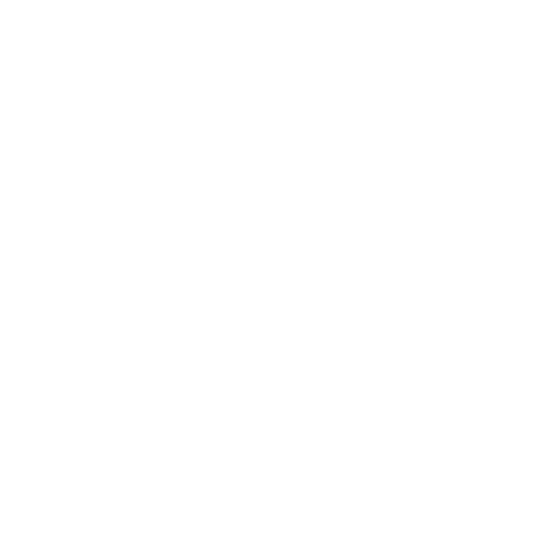 A white icon of a human head with a brain and rays emanating from the top, symbolizing intelligence or thinking, on a black background.