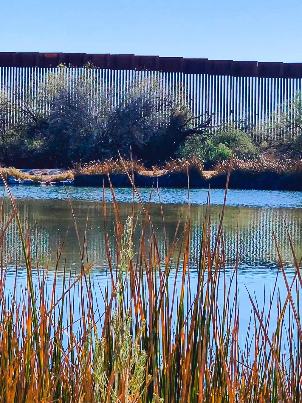 A calm desert pond with dry reeds in the foreground, reflecting a tall dark steel bollard wall that fills the horizon behind it.