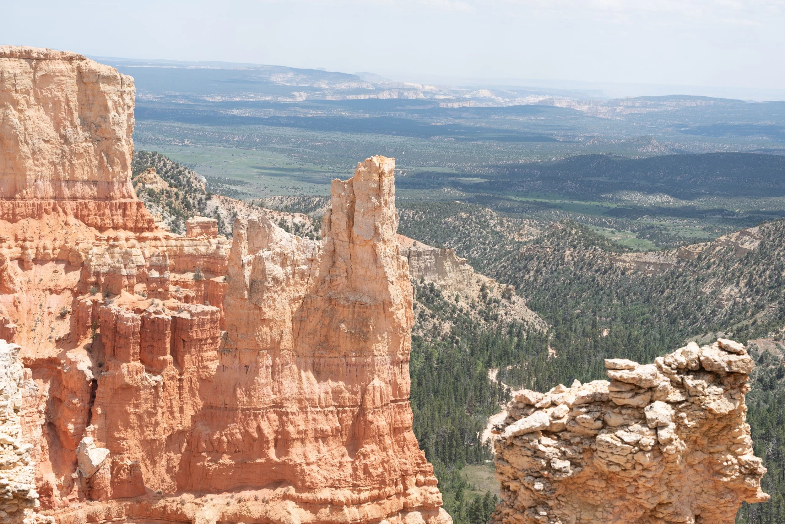 View of red and white cliff formations with a deep canyon, forested area, and distant mountains in the background.
