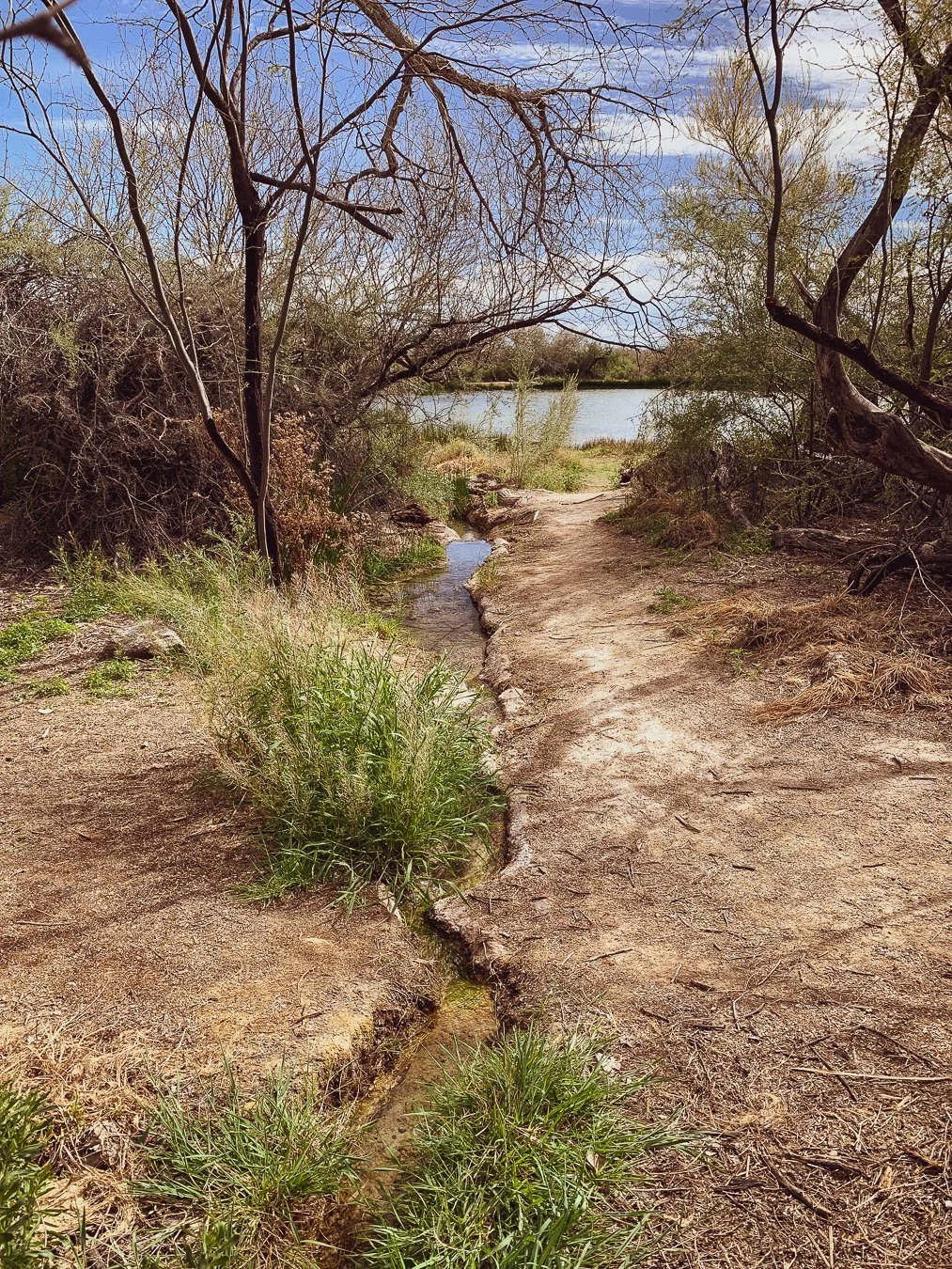 A narrow dirt trail beside a small trickle of spring water running through desert brush toward the pond.