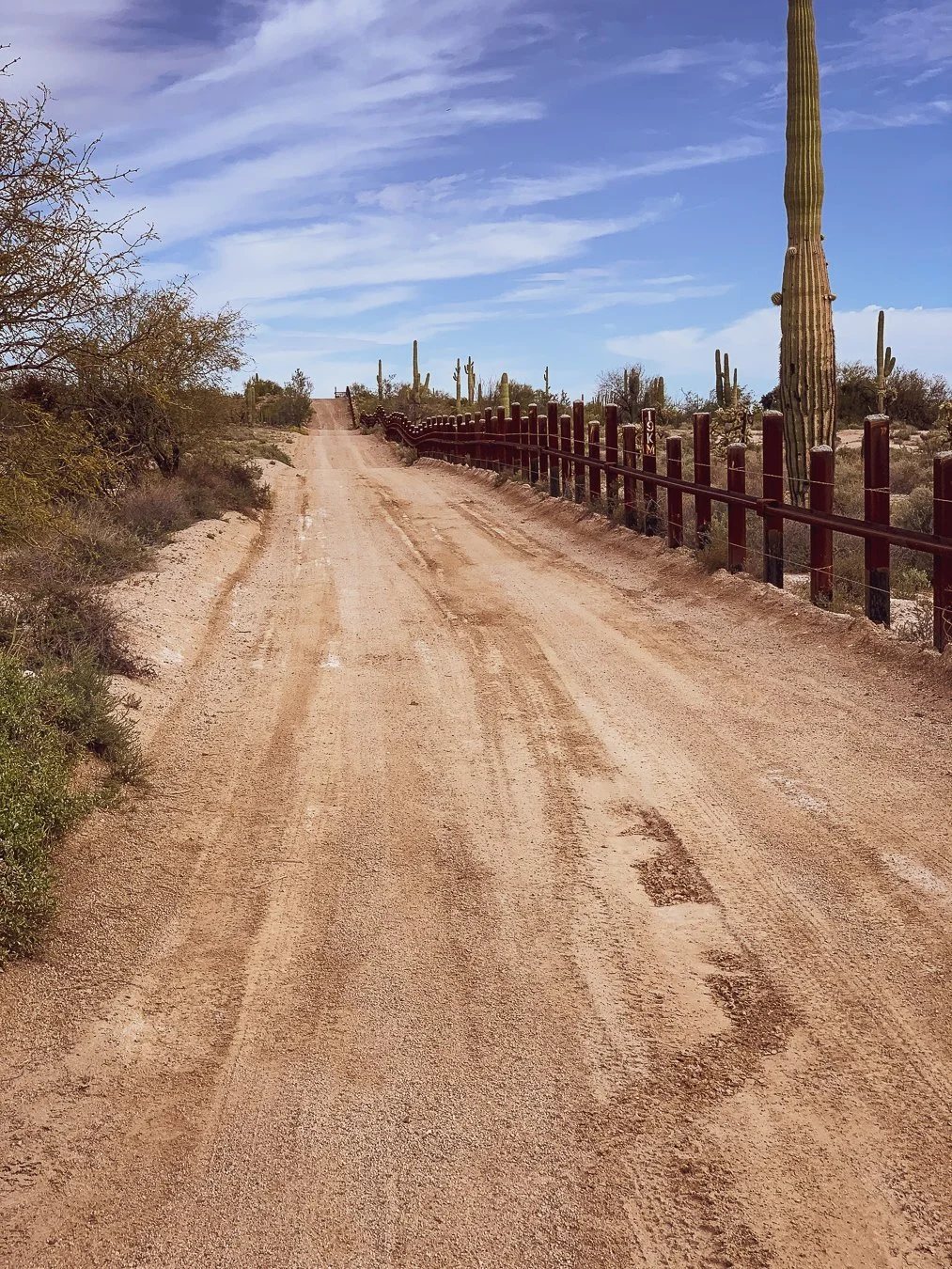 A low red-painted post-and-rail vehicle barrier running along a dirt border road next to a tall saguaro cactus.