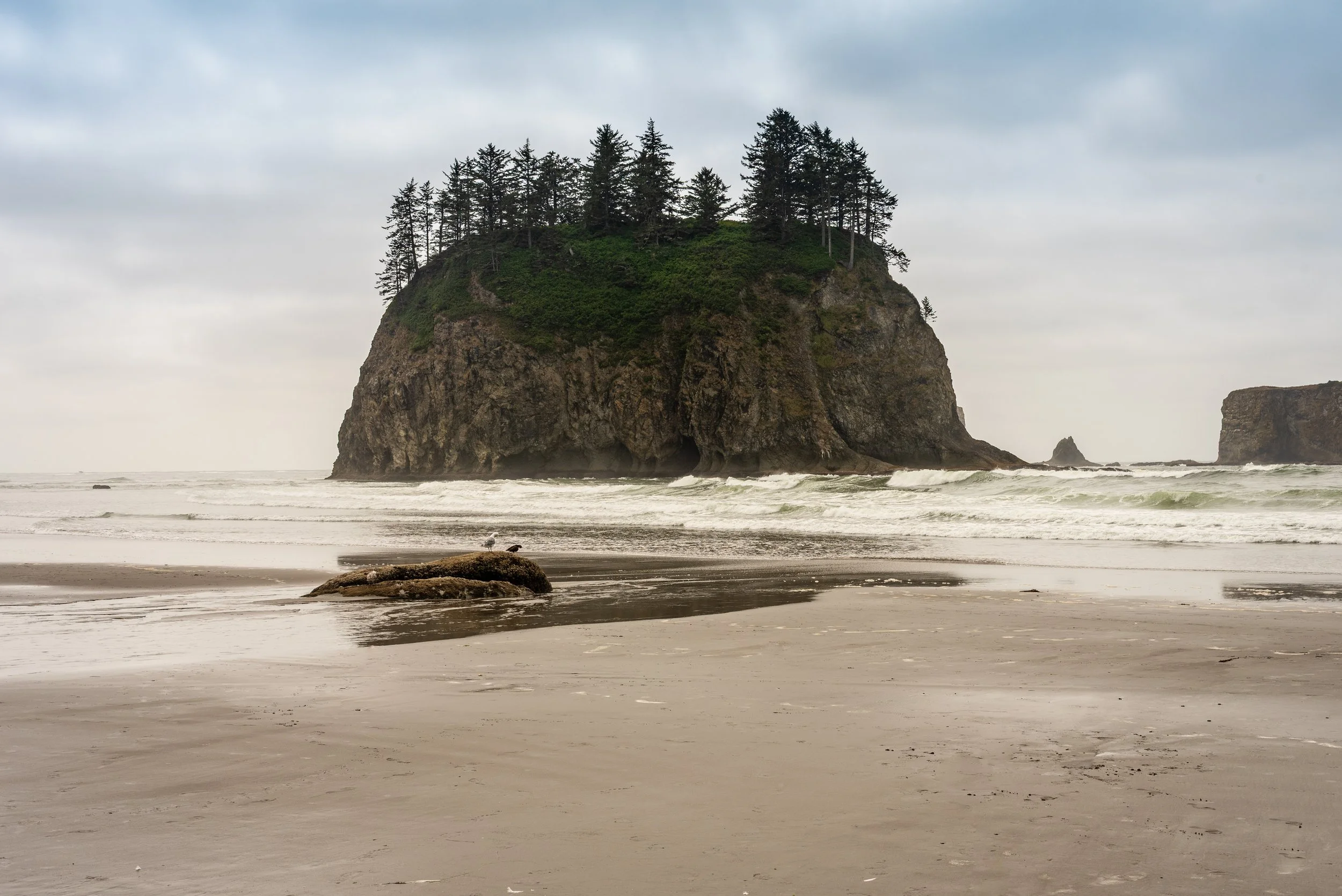 A large sea stack with trees on top rising from the ocean near a sandy beach, with a cloudy sky overhead.