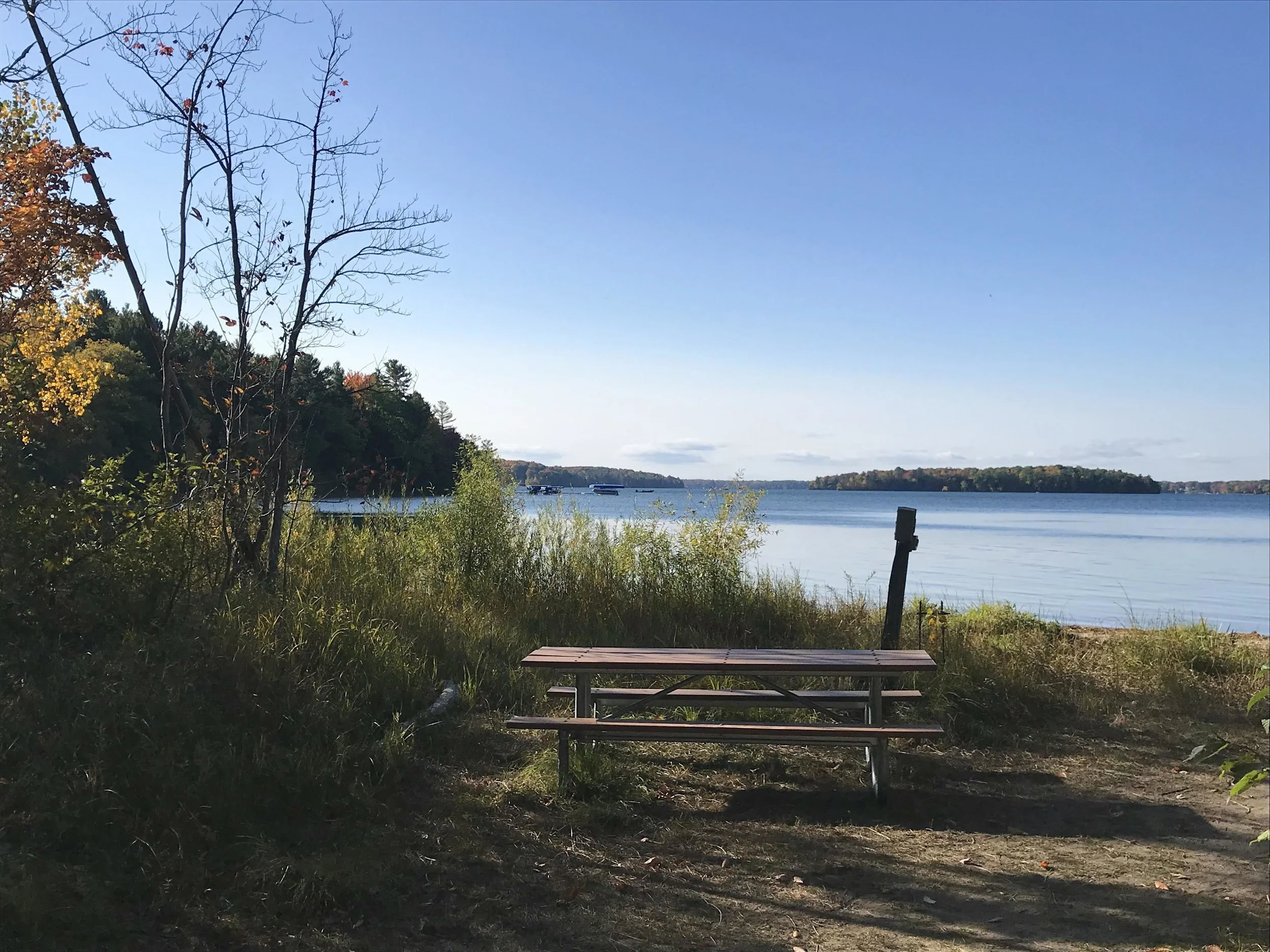 A peaceful lakeside scene with a wooden picnic table on the shoreline, tall grass and trees on the left, calm water with small boats in the distance, and an island on the horizon under a clear blue sky.