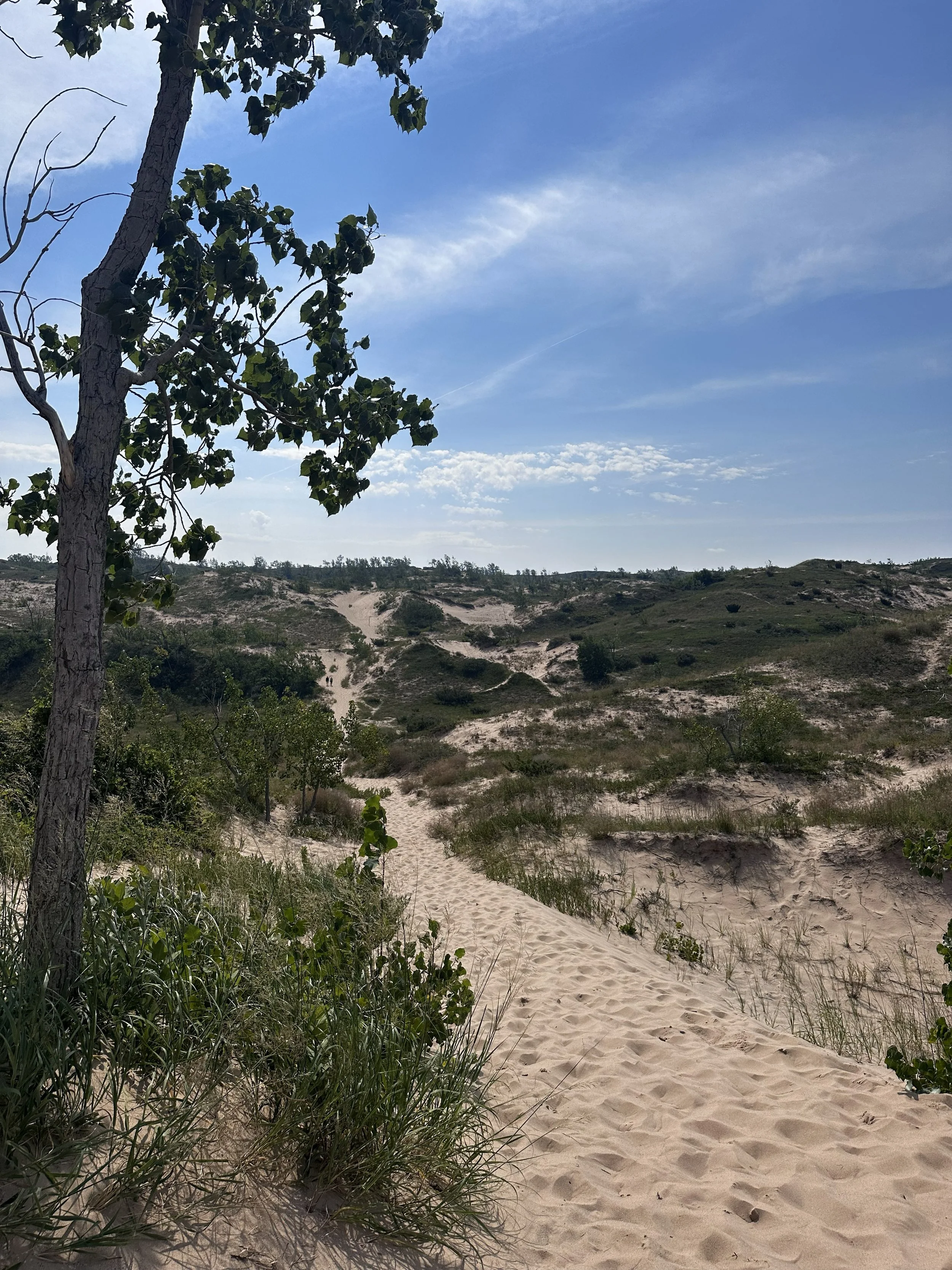Dunes Trail, Glen Arbor, MI (Sleeping Bear Dunes)