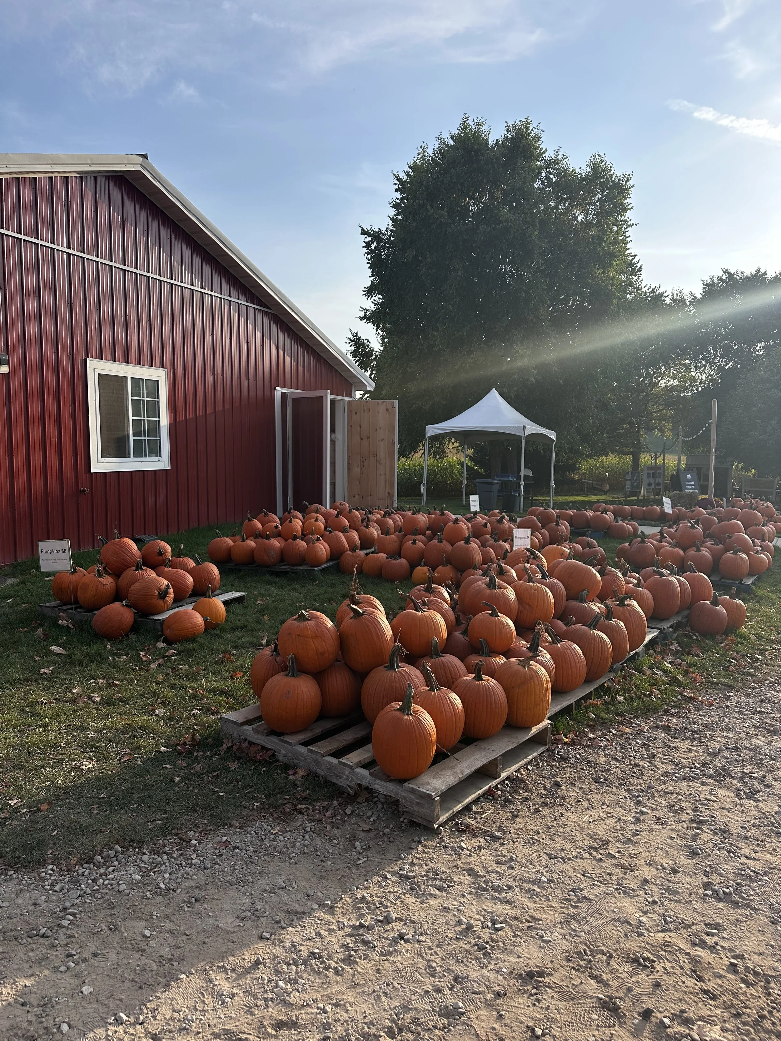 Jacobs Farm, Traverse City, MI