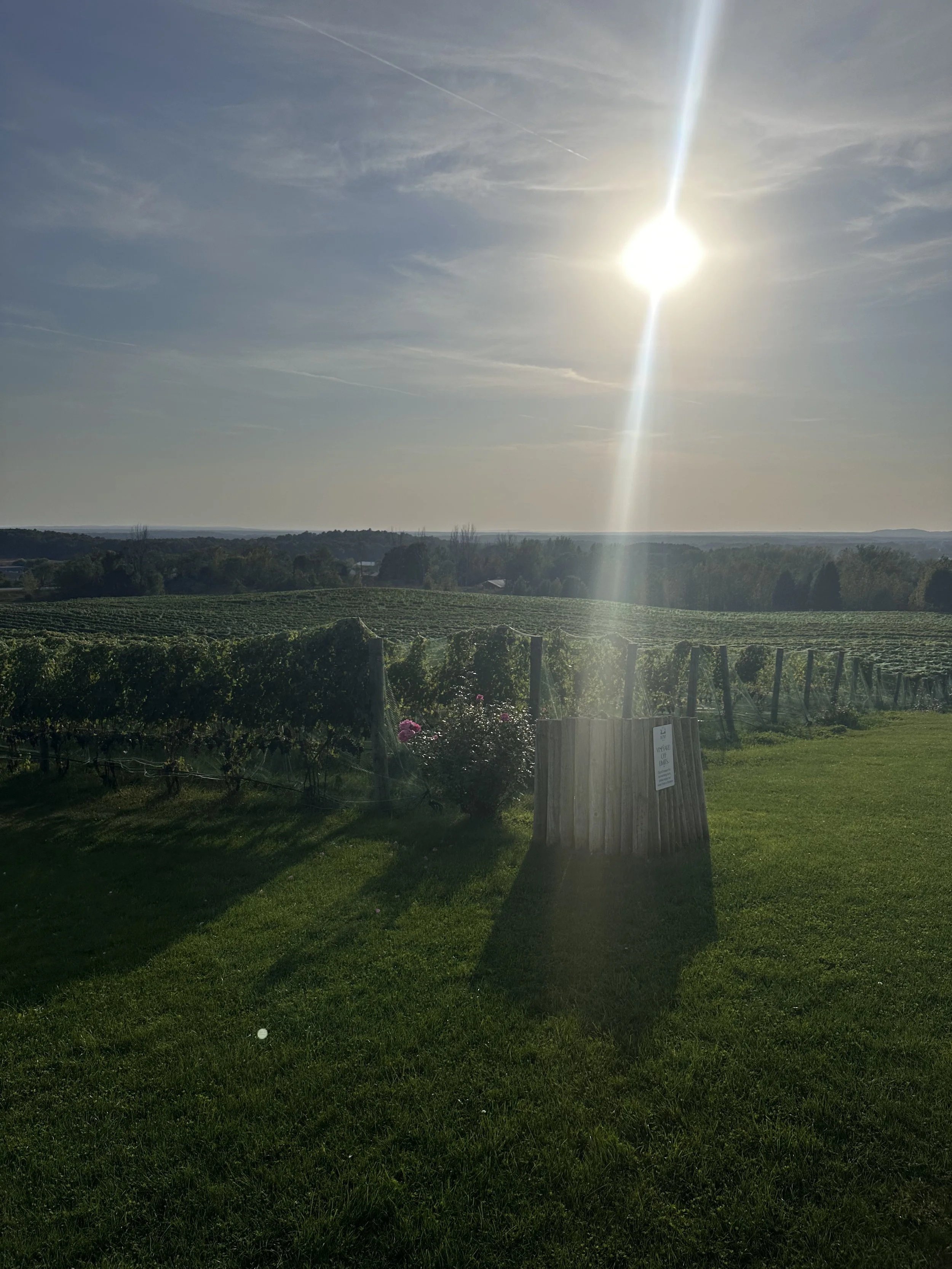 Rove Winery, Traverse City, MI