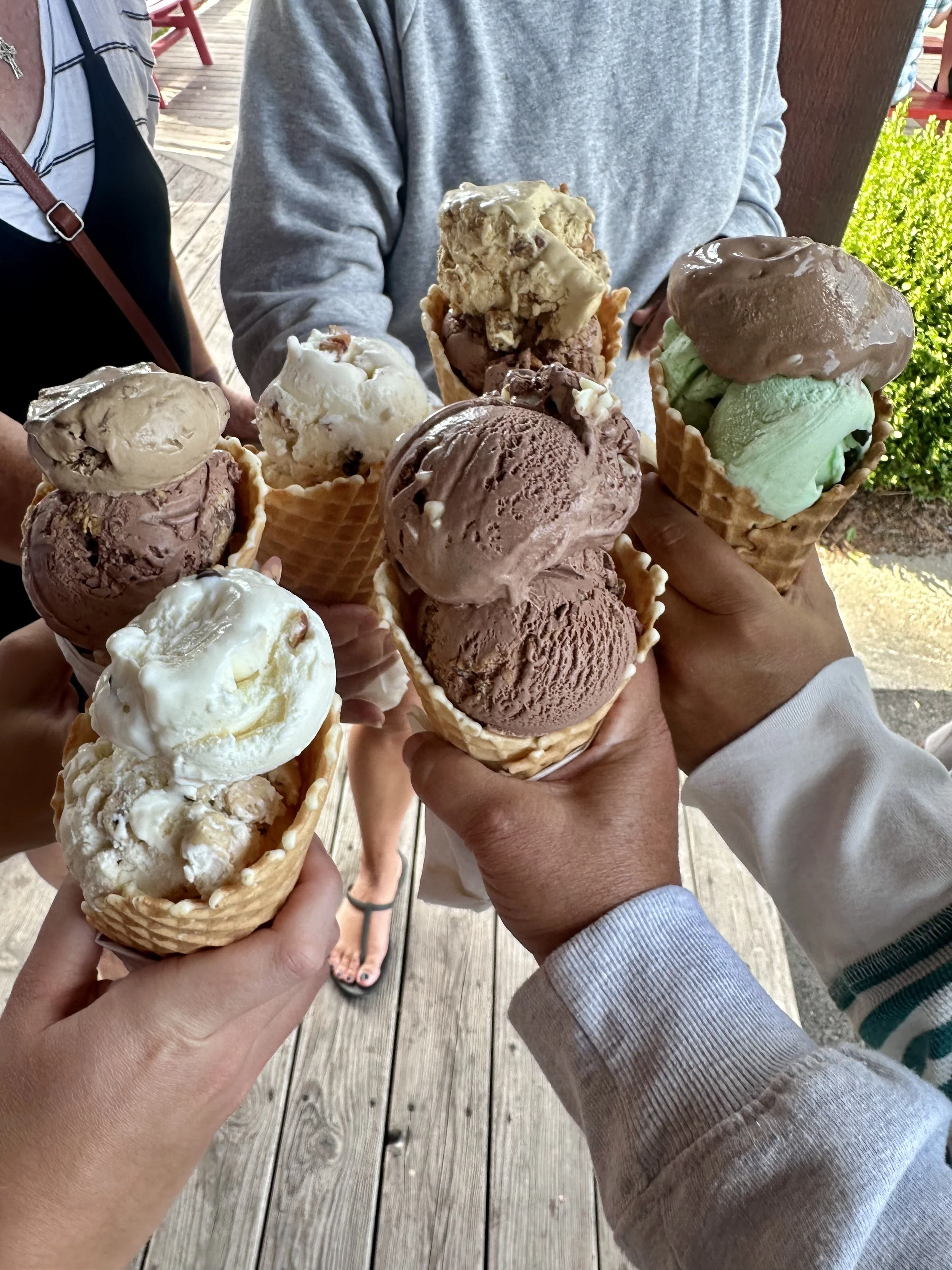 Moomers Ice Cream, Traverse City, MI