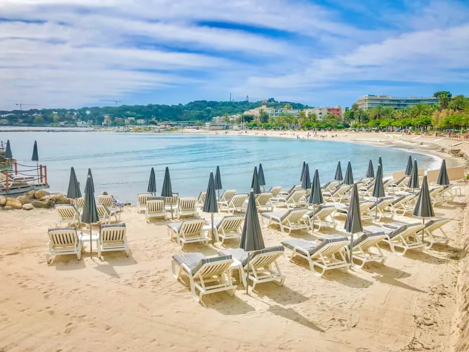 Summer (July-August)