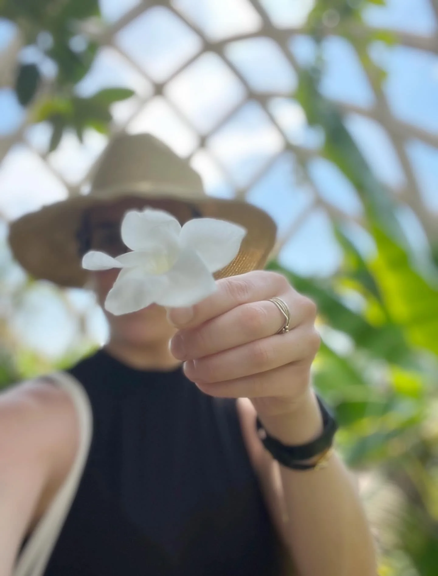 Last year, when I visited the botanical garden in Denver, I found this flower on the floor. It reminded me of a jasmine tree that grew just next door from where I lived in Rio. I picked it up and placed it inside my notebook. As I was walking towards