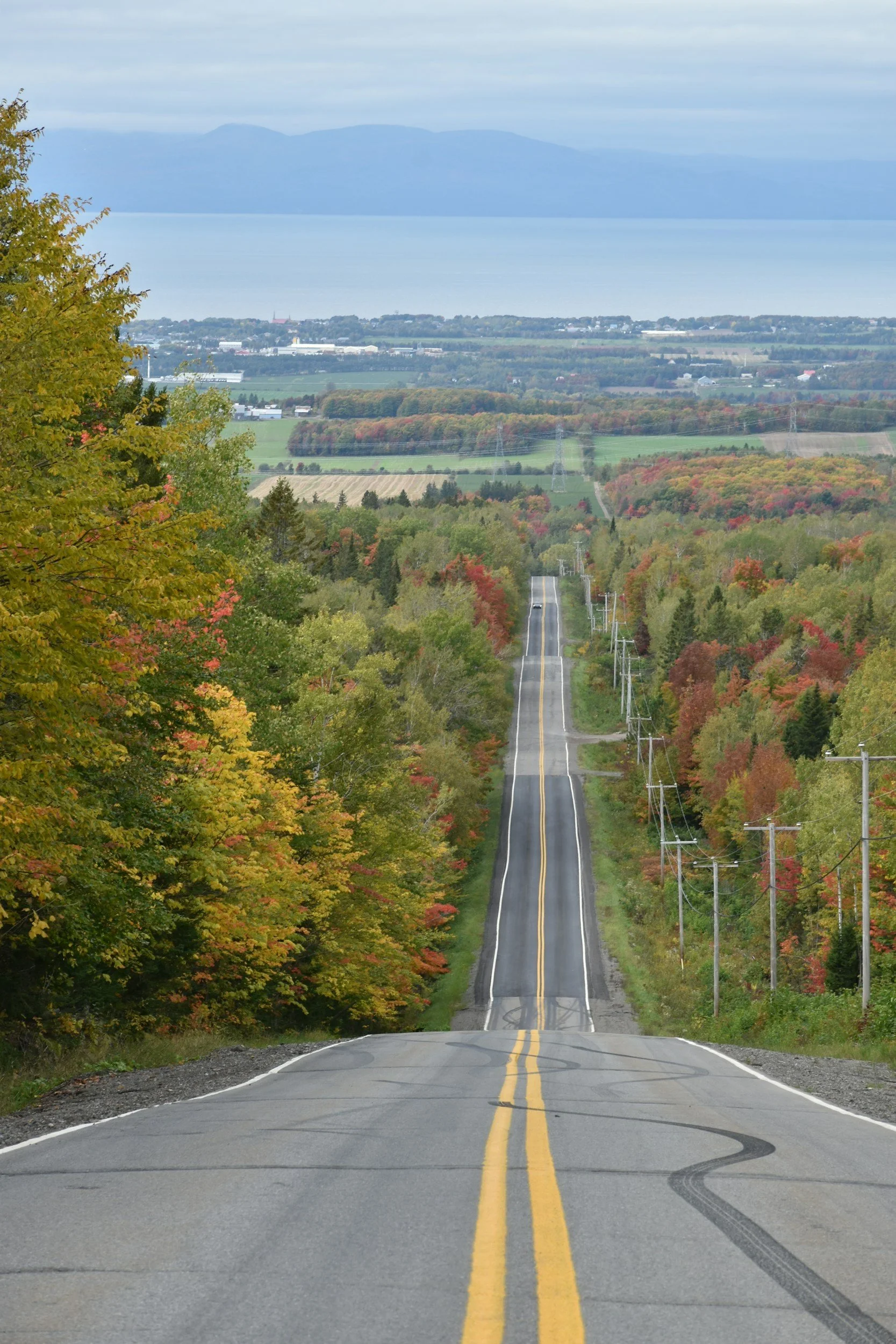 Une route en pente descendante à travers une forêt aux couleurs automnales vers un paysage de champs, de bâtiments et un lac à l'horizon, avec des montagnes en arrière-plan.