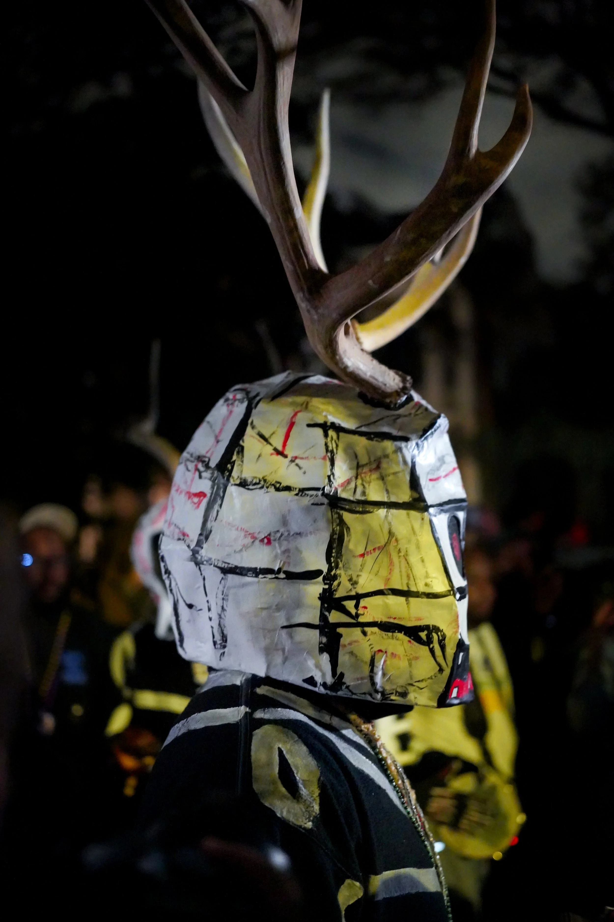 Skull N Bones (4 of 48).jpg