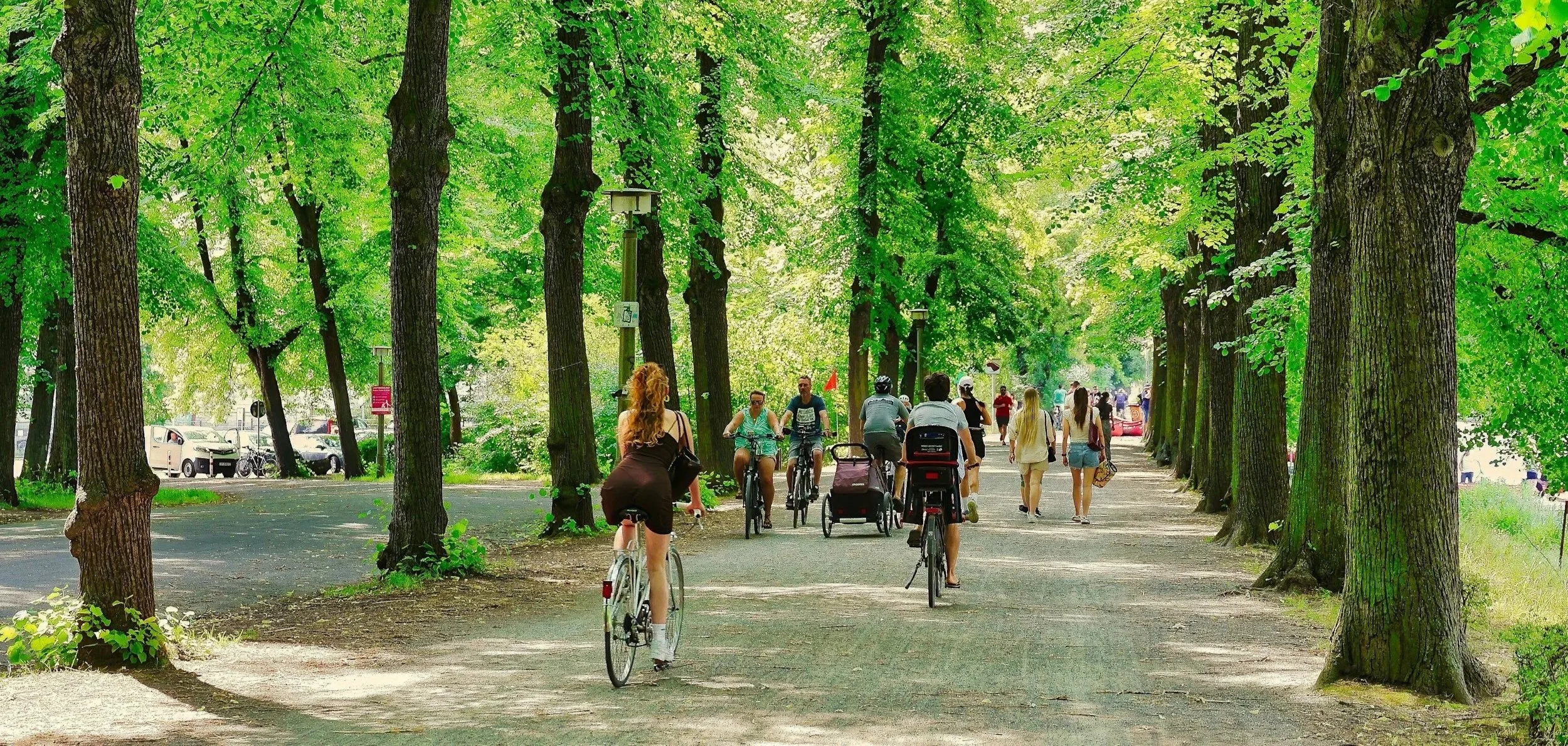 A wooded park with tall trees and a path filled with people walking, biking, and pushing strollers, enjoying a sunny day.