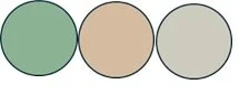 Three circles, colored green, beige, and gray, arranged in a row.