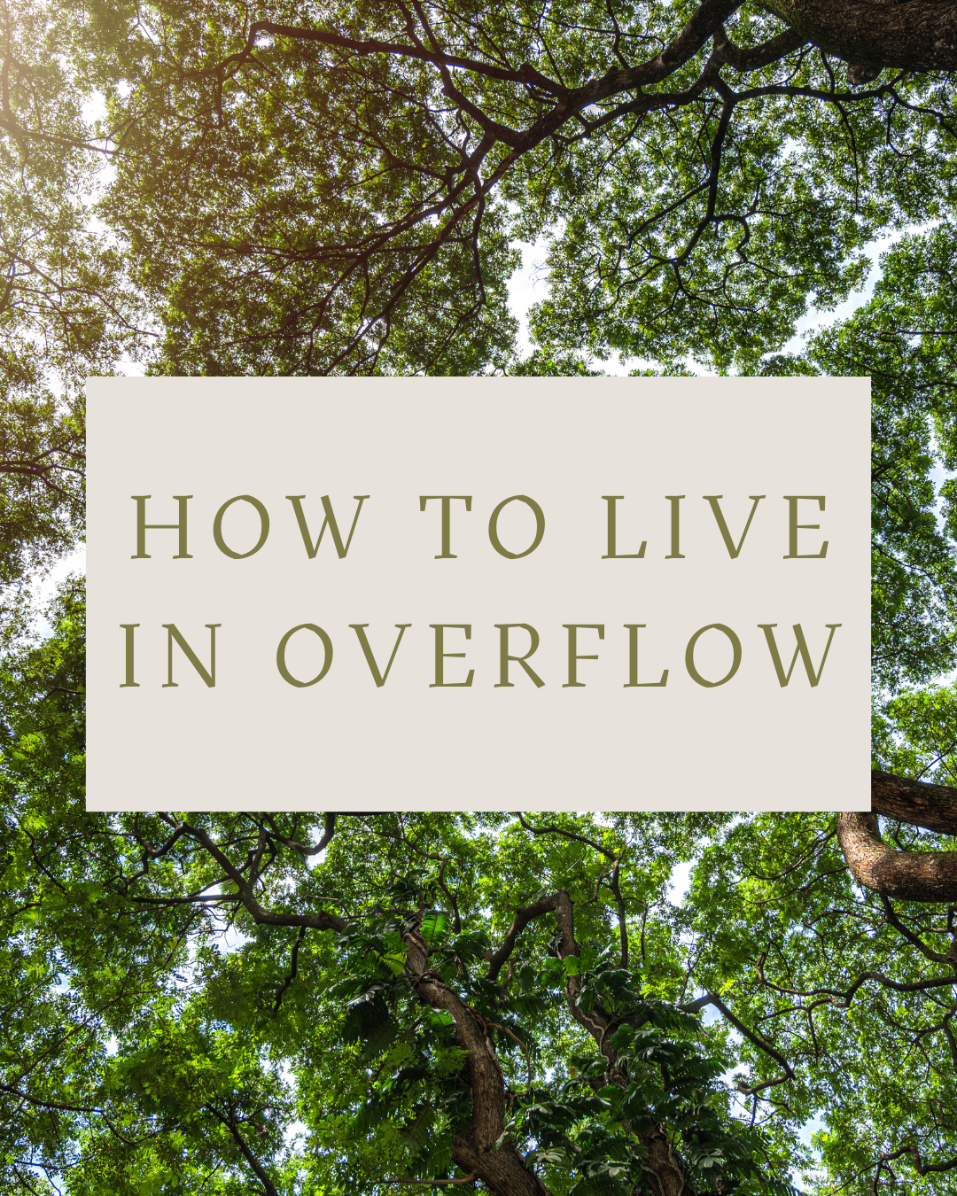 A morning at sky pond (1).png