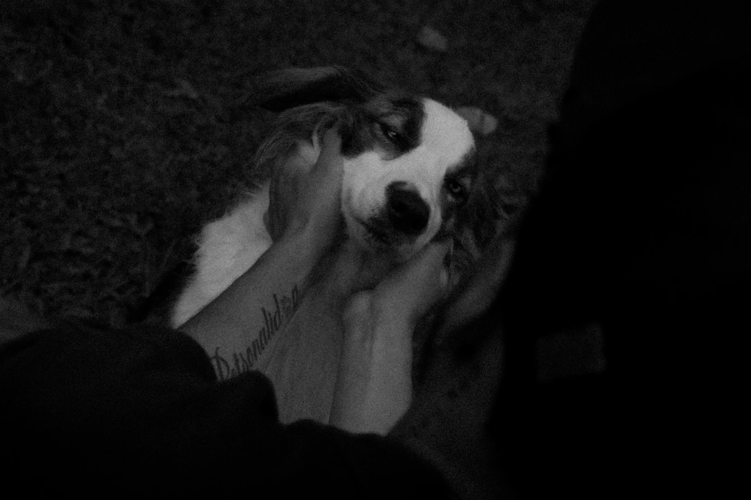 DSC01340.jpg