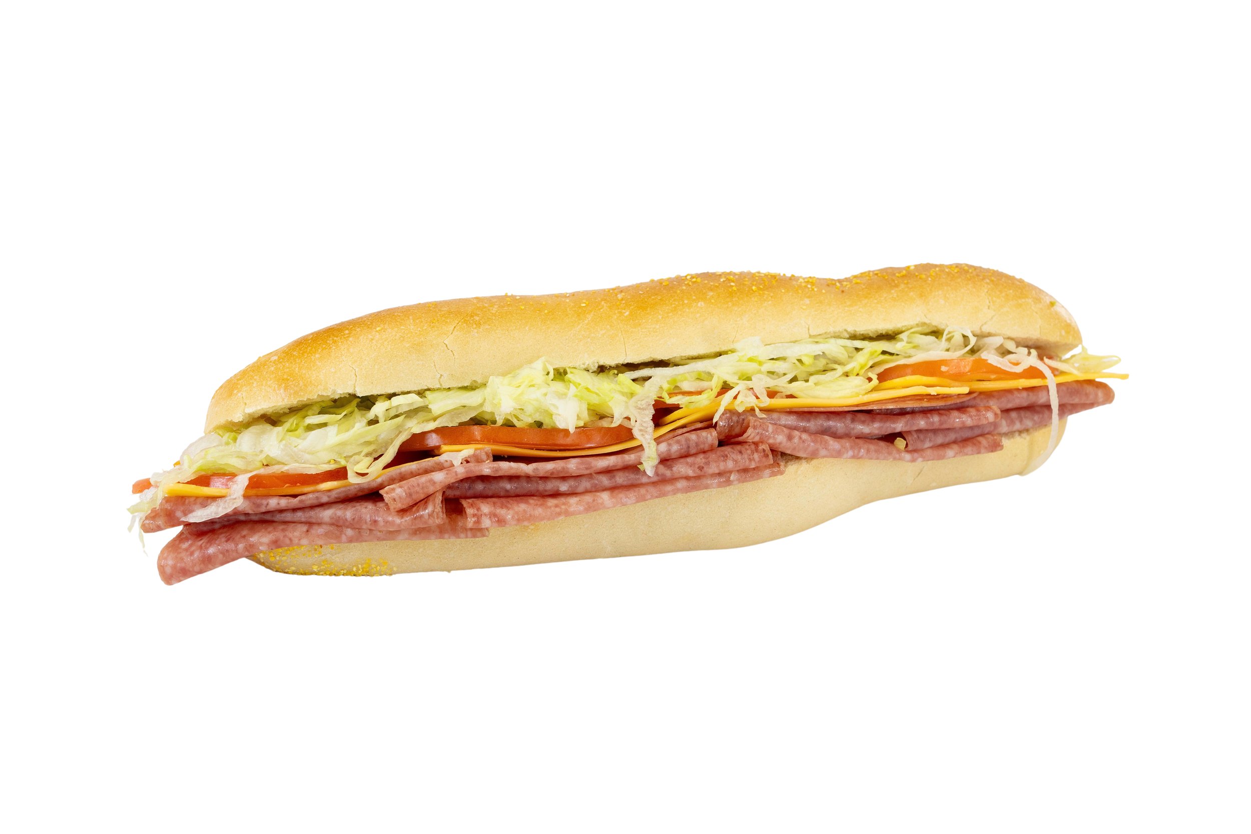 Neptune Bakery & Deli Salami Sub Sandwich