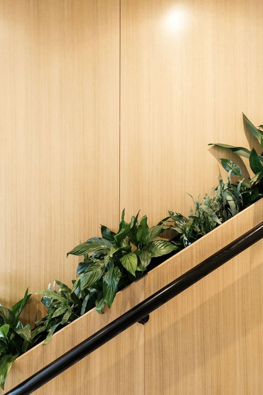 A wooden wall with a plant display and a black handrail.