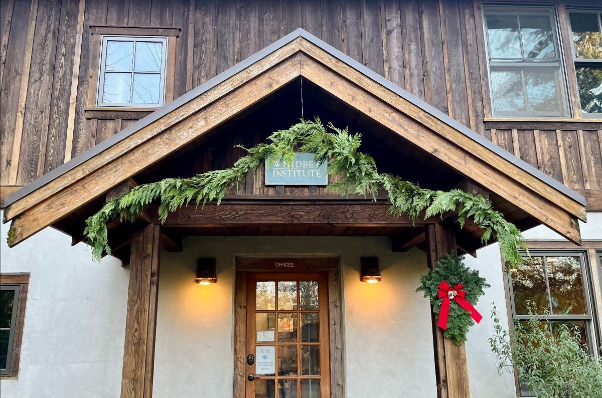 December: A Windswept Winter Greeting