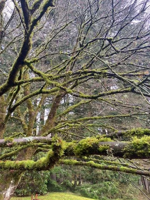 The Turning of the Year