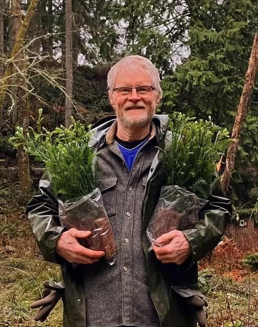 Forest Medicine