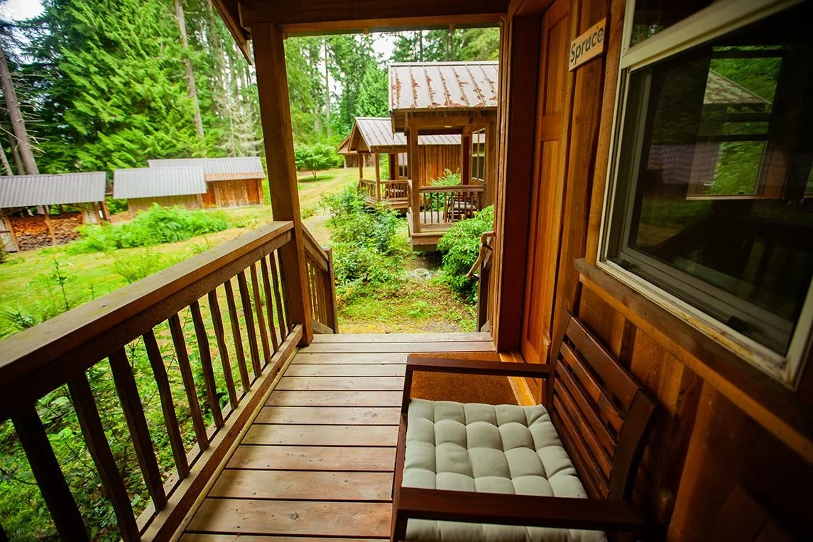CABINOUTDOORS.jpg