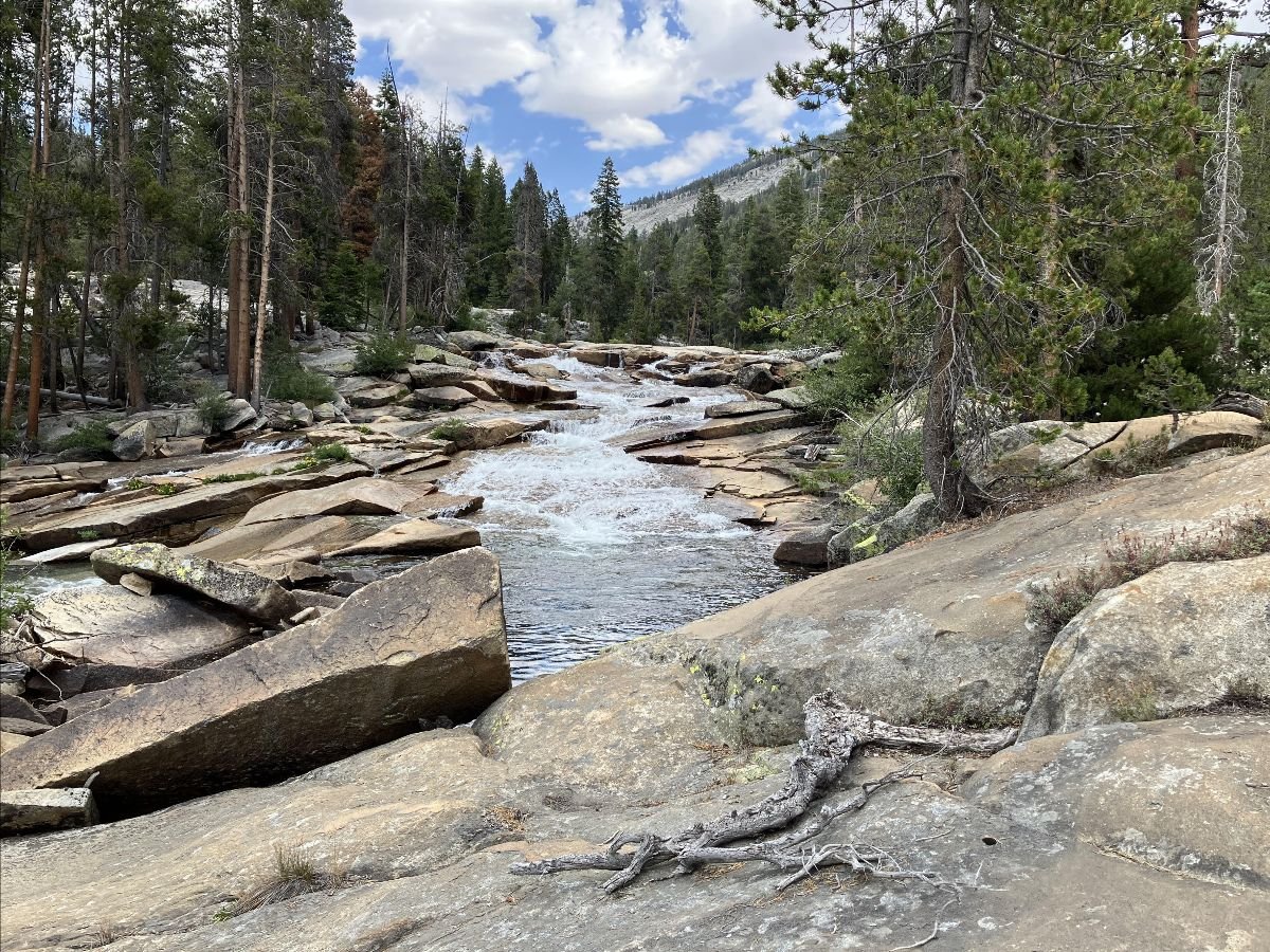 A Reunion in the High Sierras