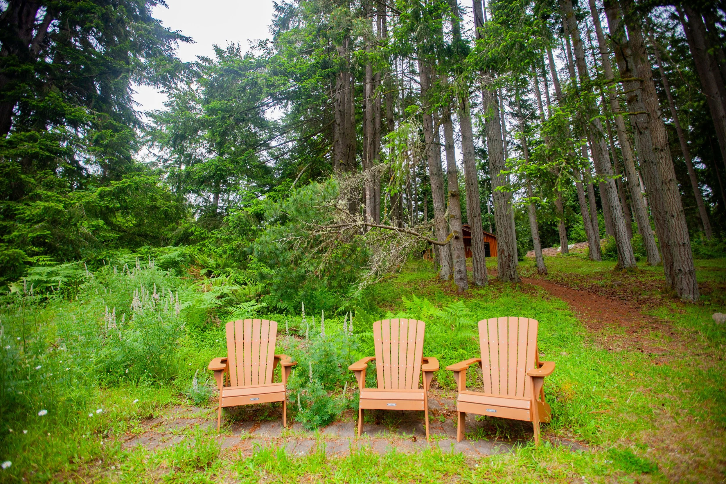 chairs on campus.jpg