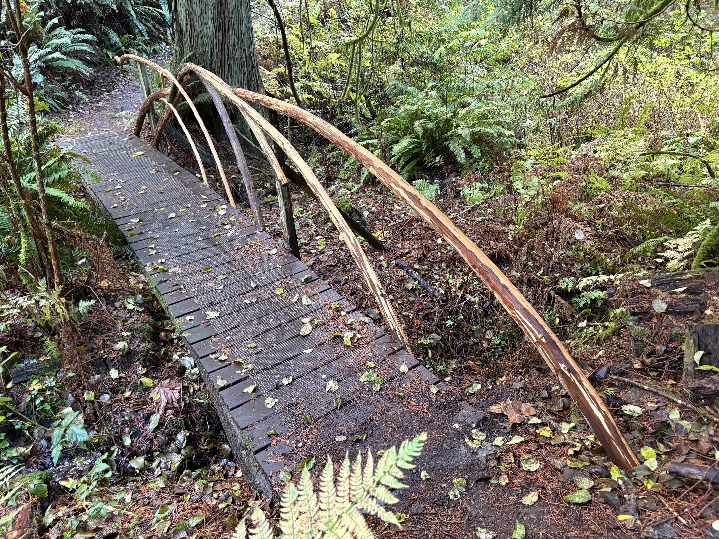Granny's trail bridge.jpg
