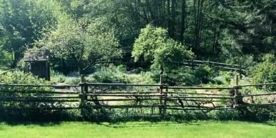 Appletree Garden.jpg