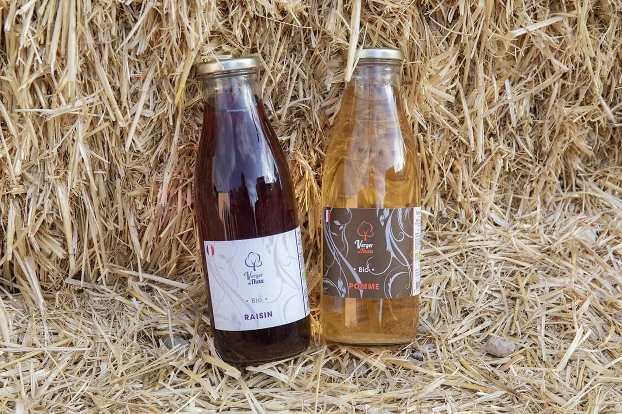 Deux bouteilles de jus bio de raisin et de pomme reposent sur un fond de foin. Prise de vue professionnelle de jus bio de raisin et pomme sur un décor naturel. Bouteilles de jus bio sur un lit de foin, mettant en valeur leur étiquette. Style photogra