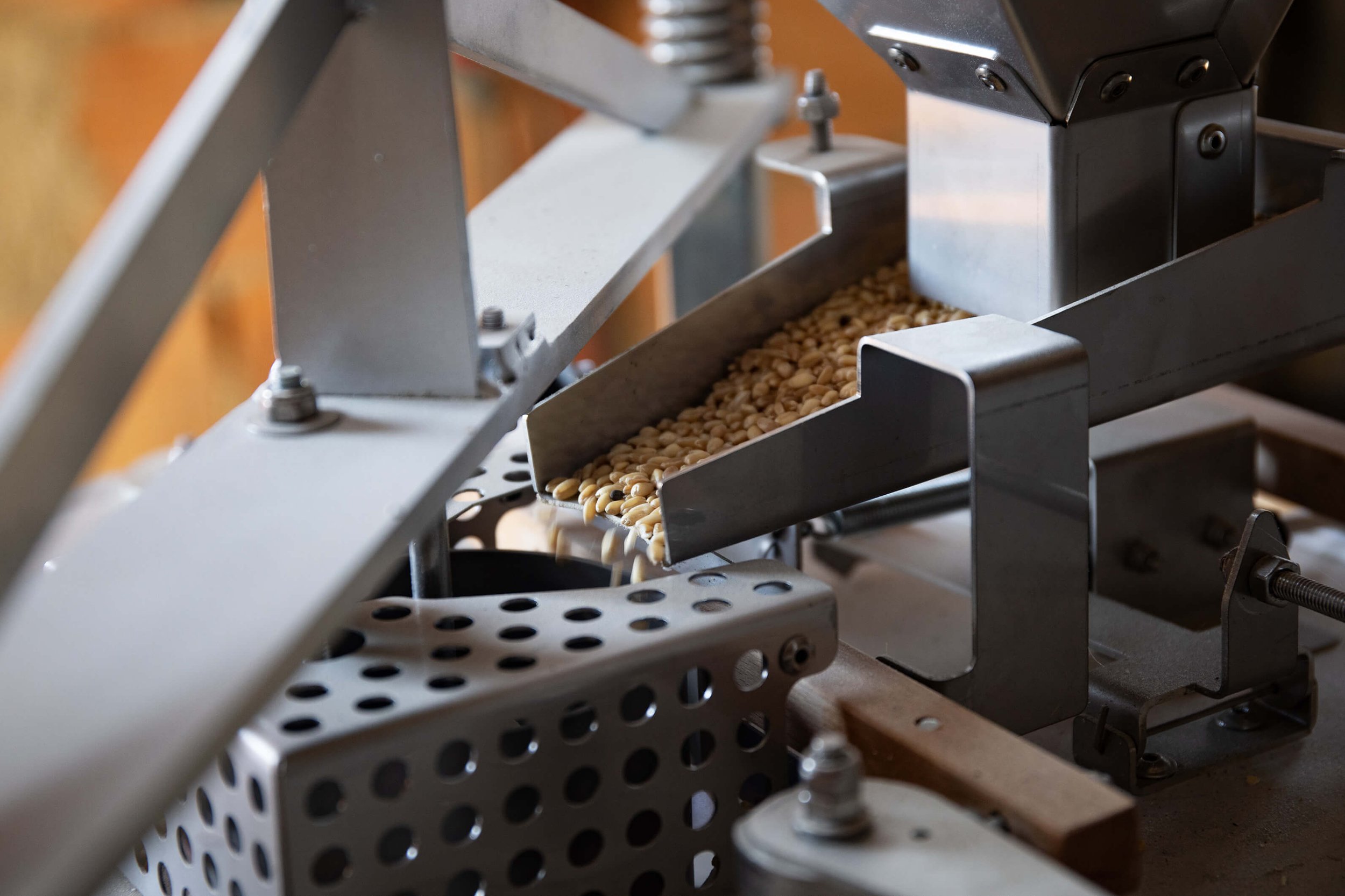 Cette image met en lumière une machine de traitement automatique de grains en action. On peut observer les grains se déplacer dans un système de transport mécanique, illustrant l’efficacité de l’équipement industriel moderne utilisé pour le traitemen