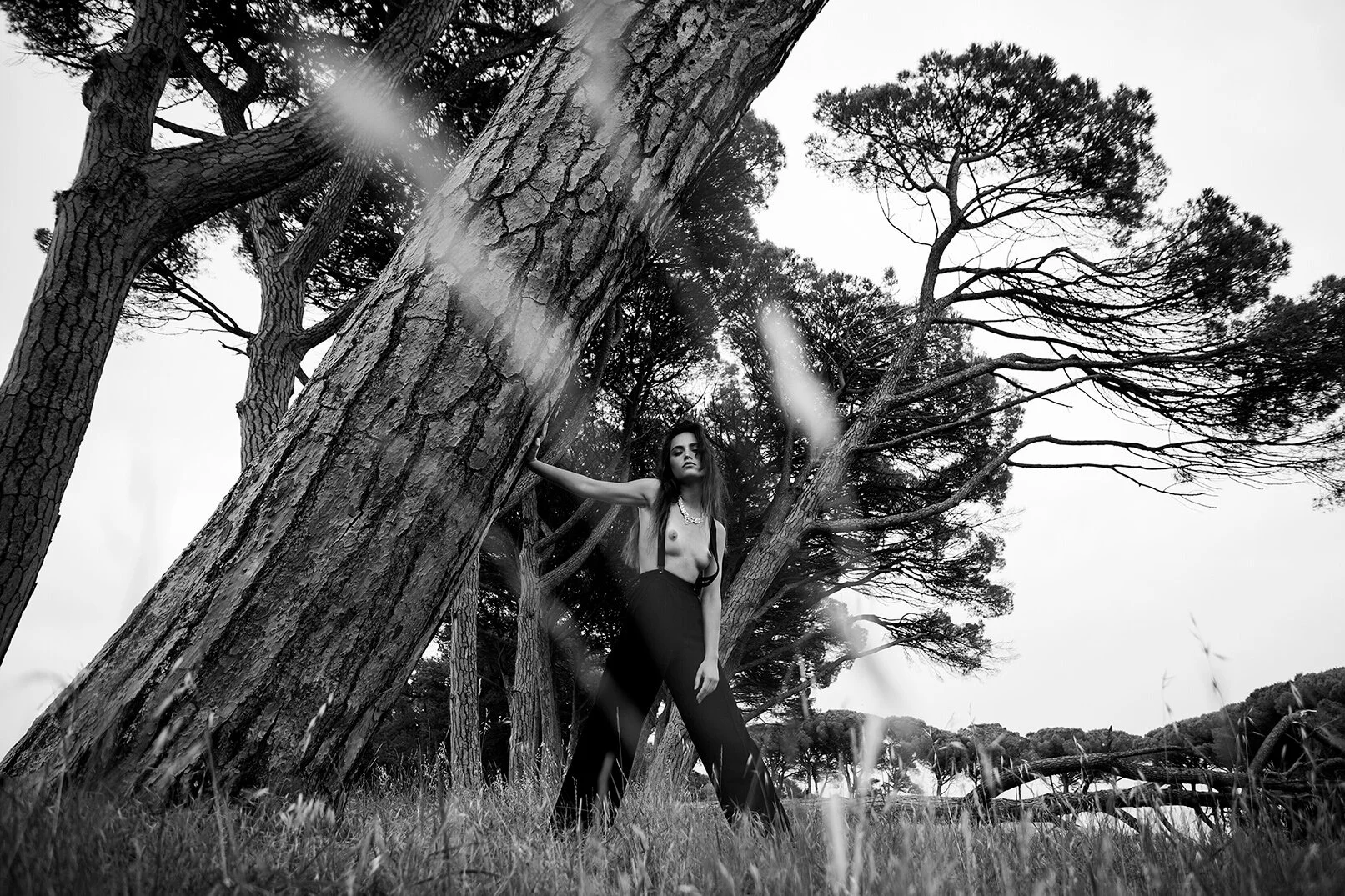 NO MAN'S LAND AFTER THE STORM