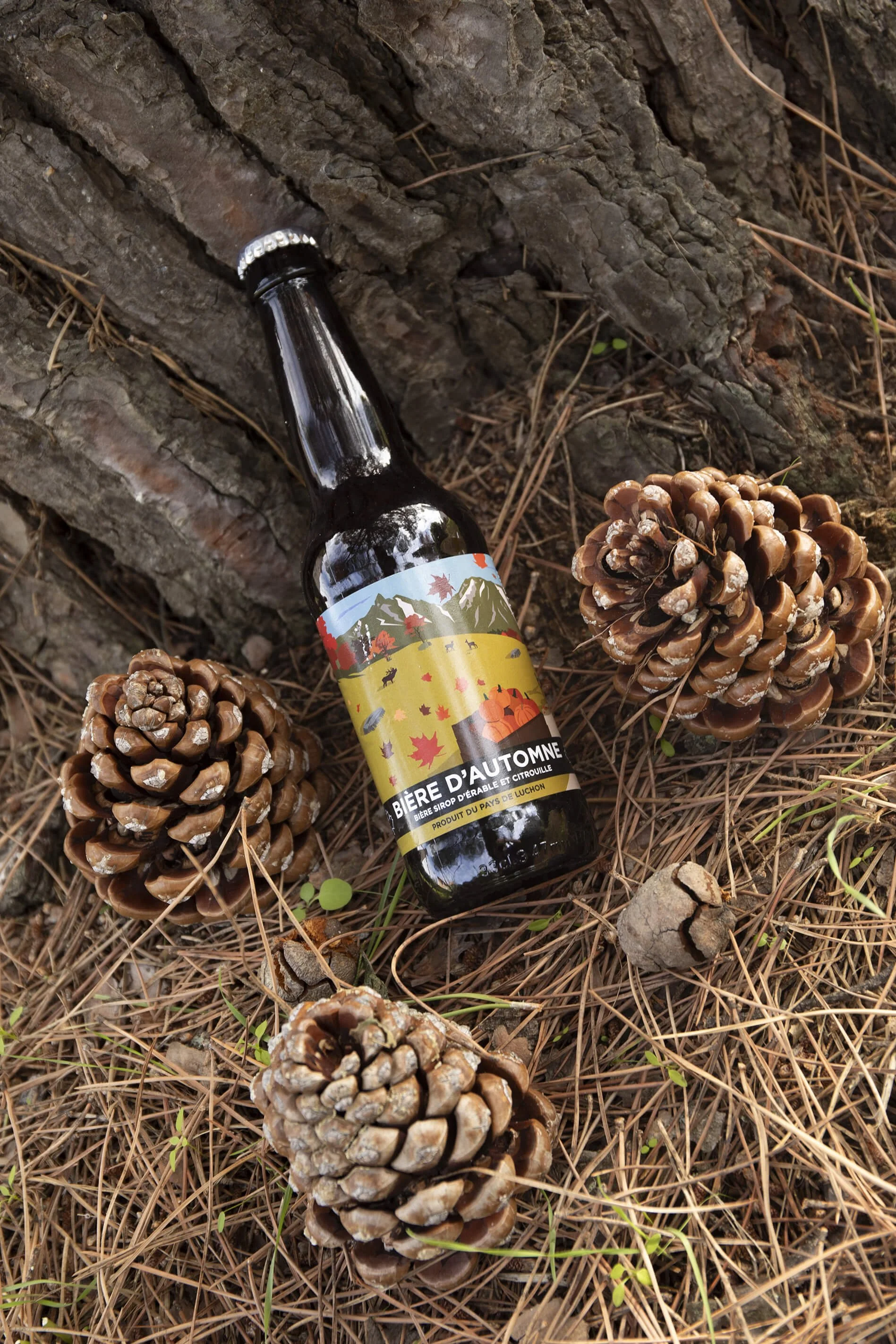 Une bouteille de bière d’automne repose sur un sol forestier, entourée de pommes de pin.  La bière artisanale de Luchon se marie parfaitement avec les décorations automnales et les pommes de pin.  Ce décor automnal met en valeur une bière d’automne e