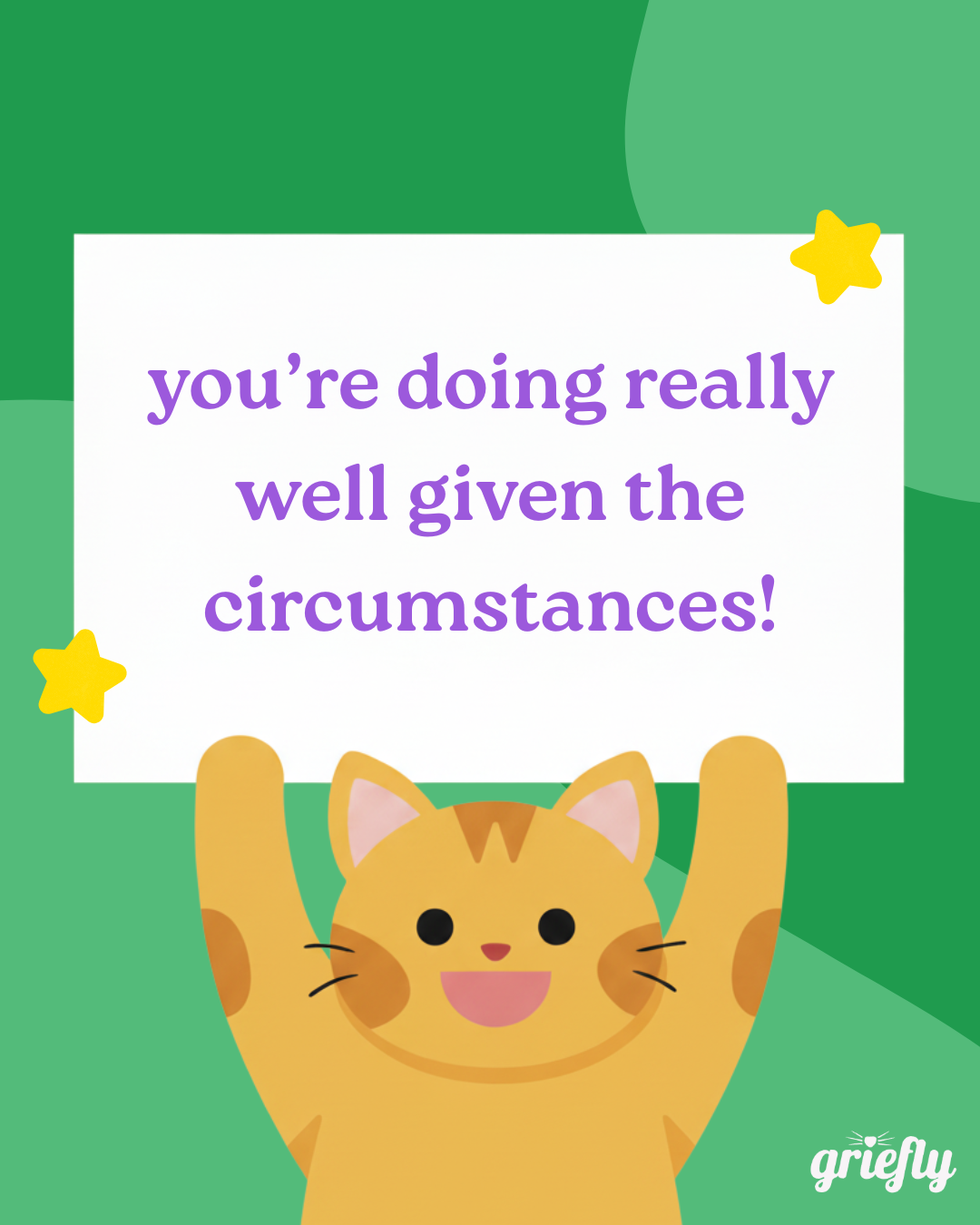 A cartoon orange tabby cat with a happy expression holding a white sign that says 'you're doing really well given the circumstances!' in purple text. The background is green with yellow stars in the corners. The word 'griefly' is in the bottom right corner.