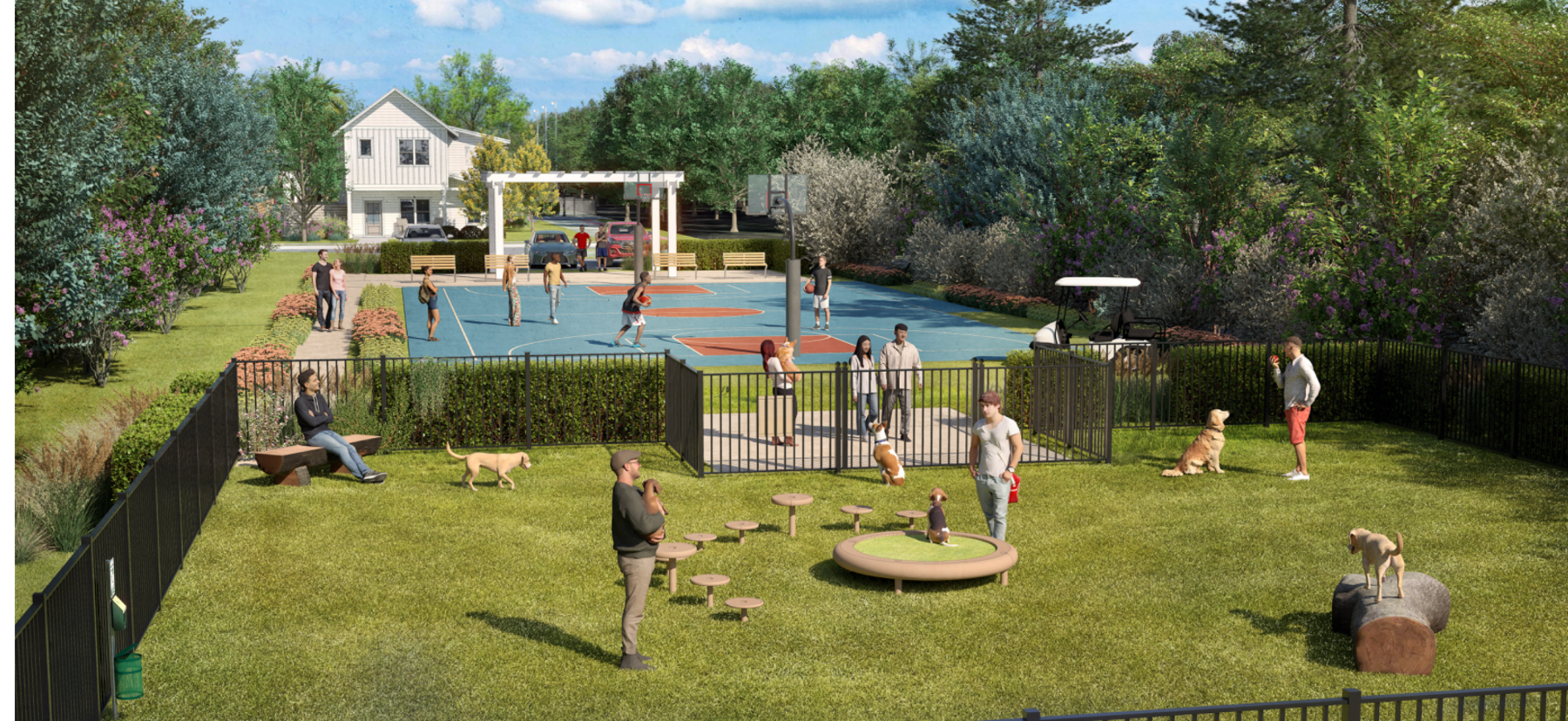 Shoreline renderings basketball.png