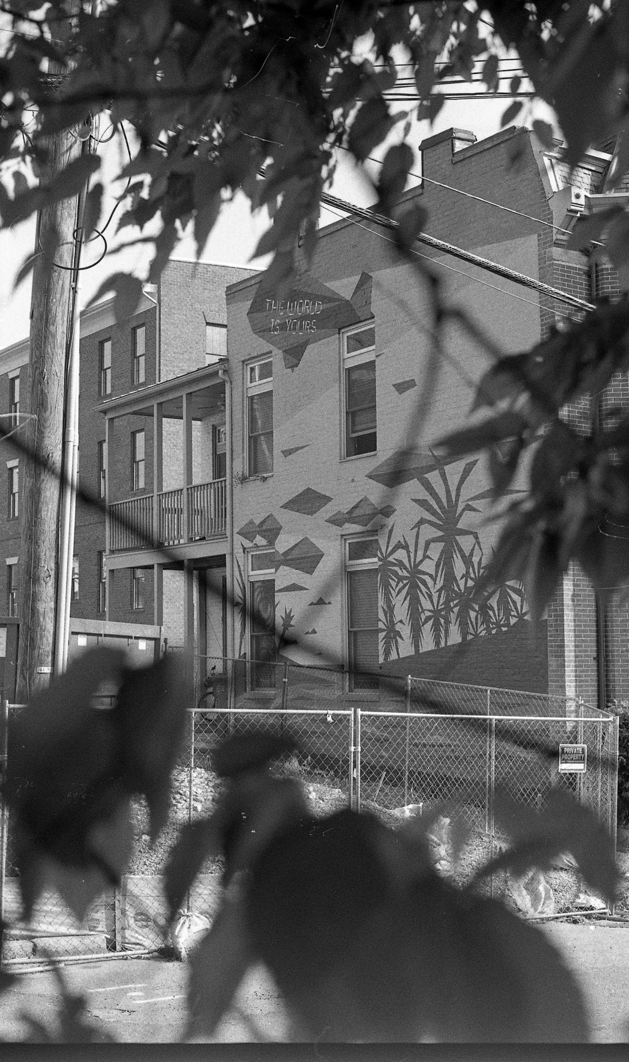 A mural on the side of a building depicting sand dunes, palm trees, and flying birds with the phrase "The world is yours" on a geometric shape. Foreground has out-of-focus leaves and a fence.