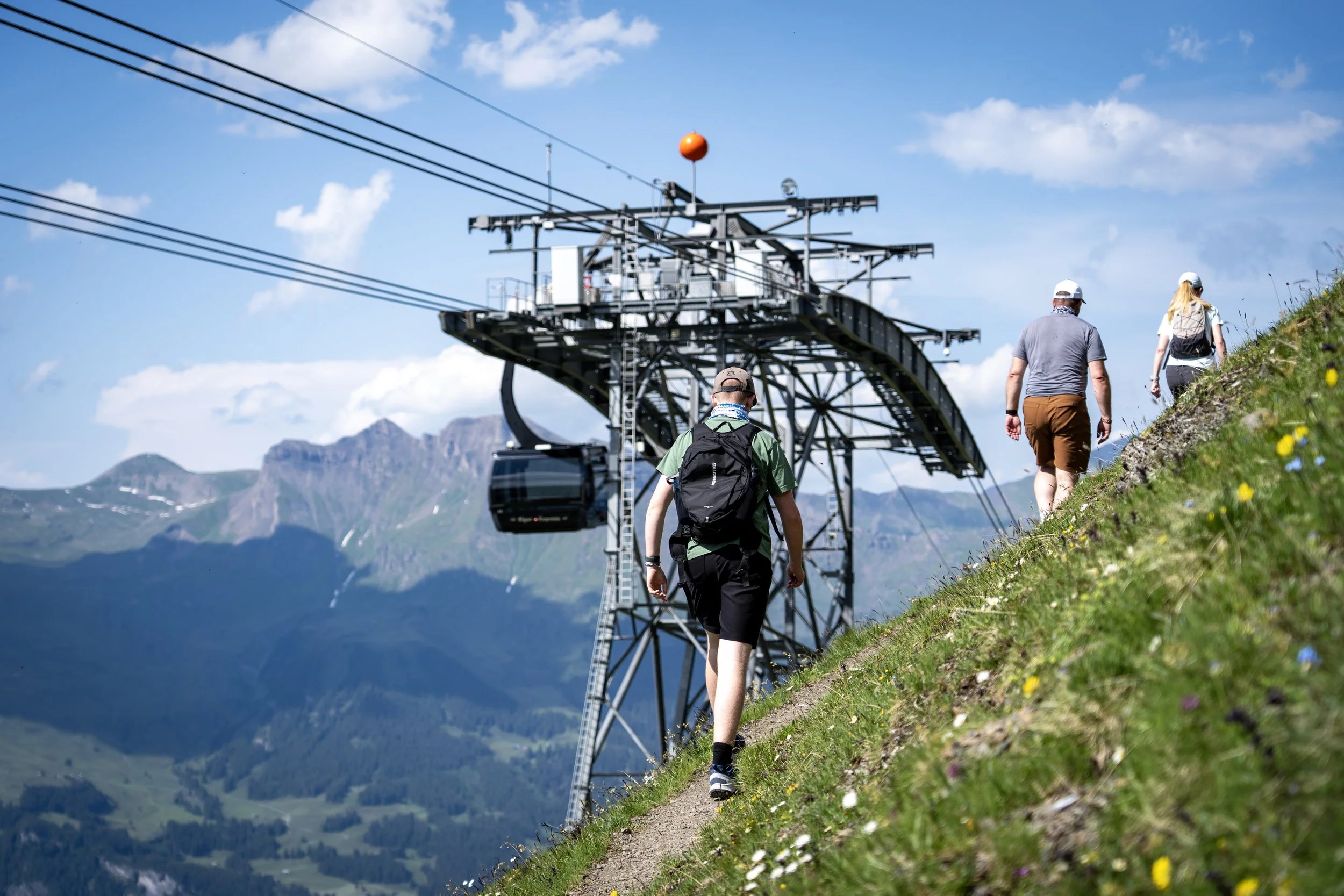 47 - Mt. Eiger.jpg