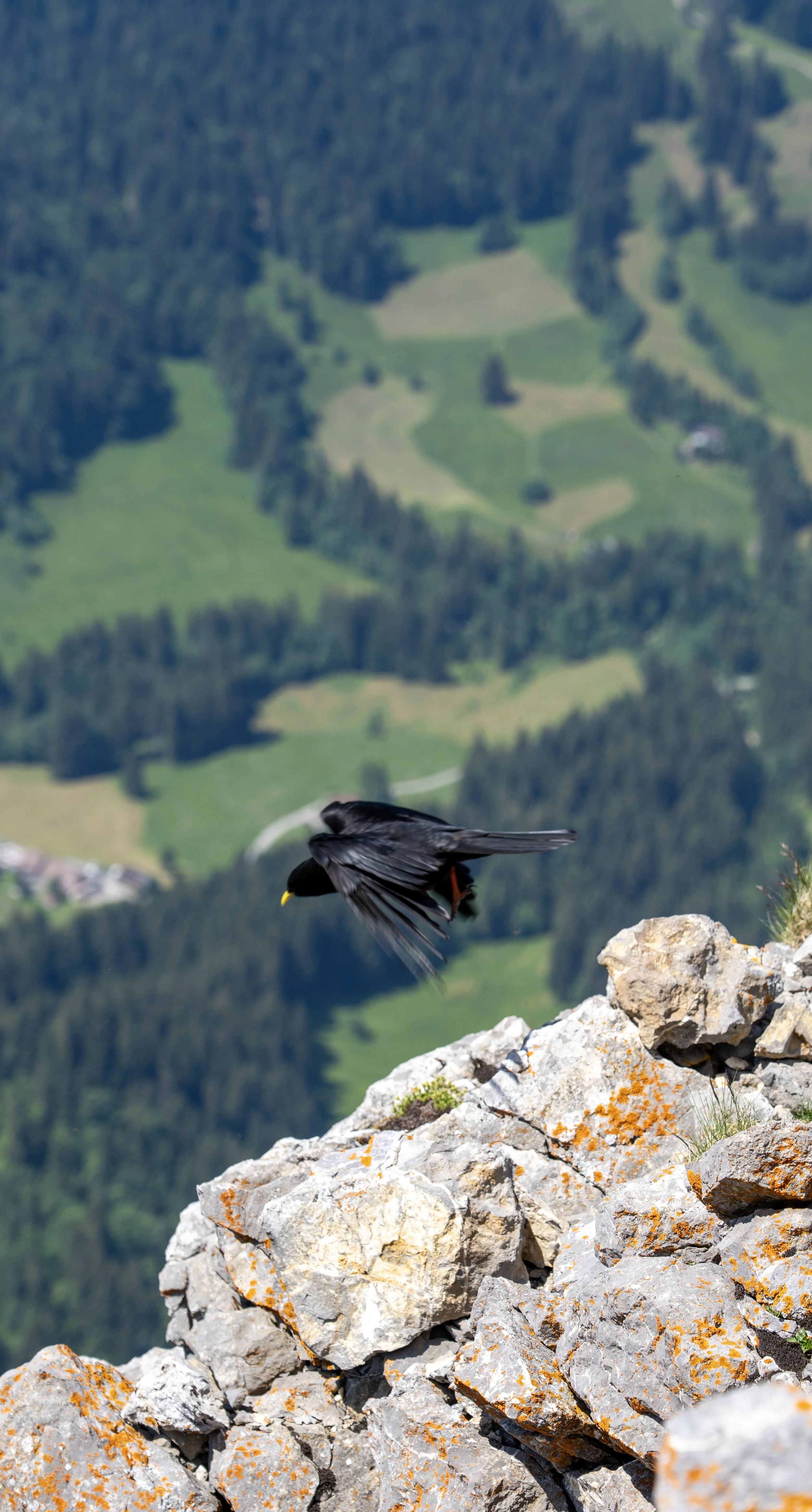 17 - Mt. Pilatus.jpg