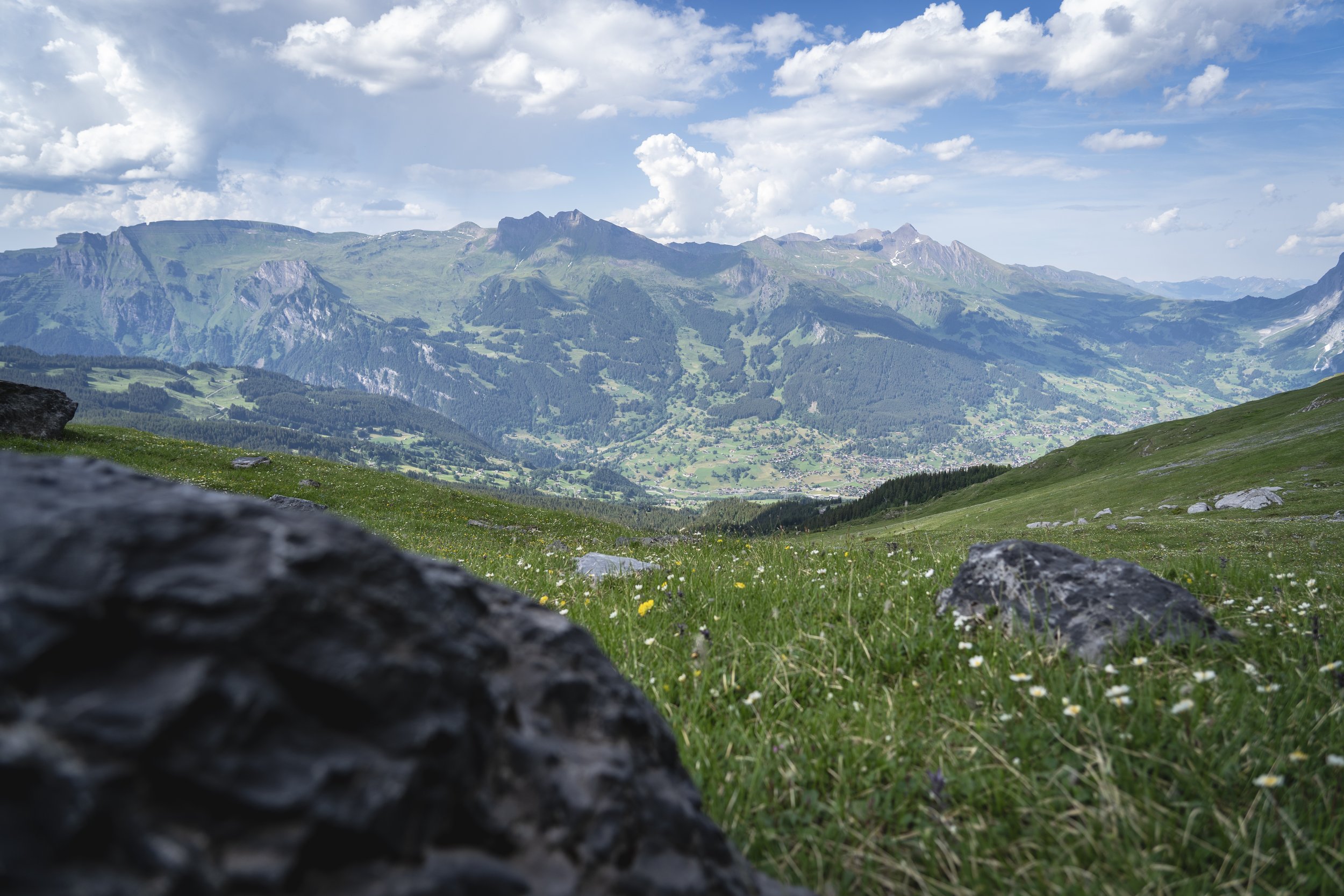 76 - Mt. Eiger.jpg