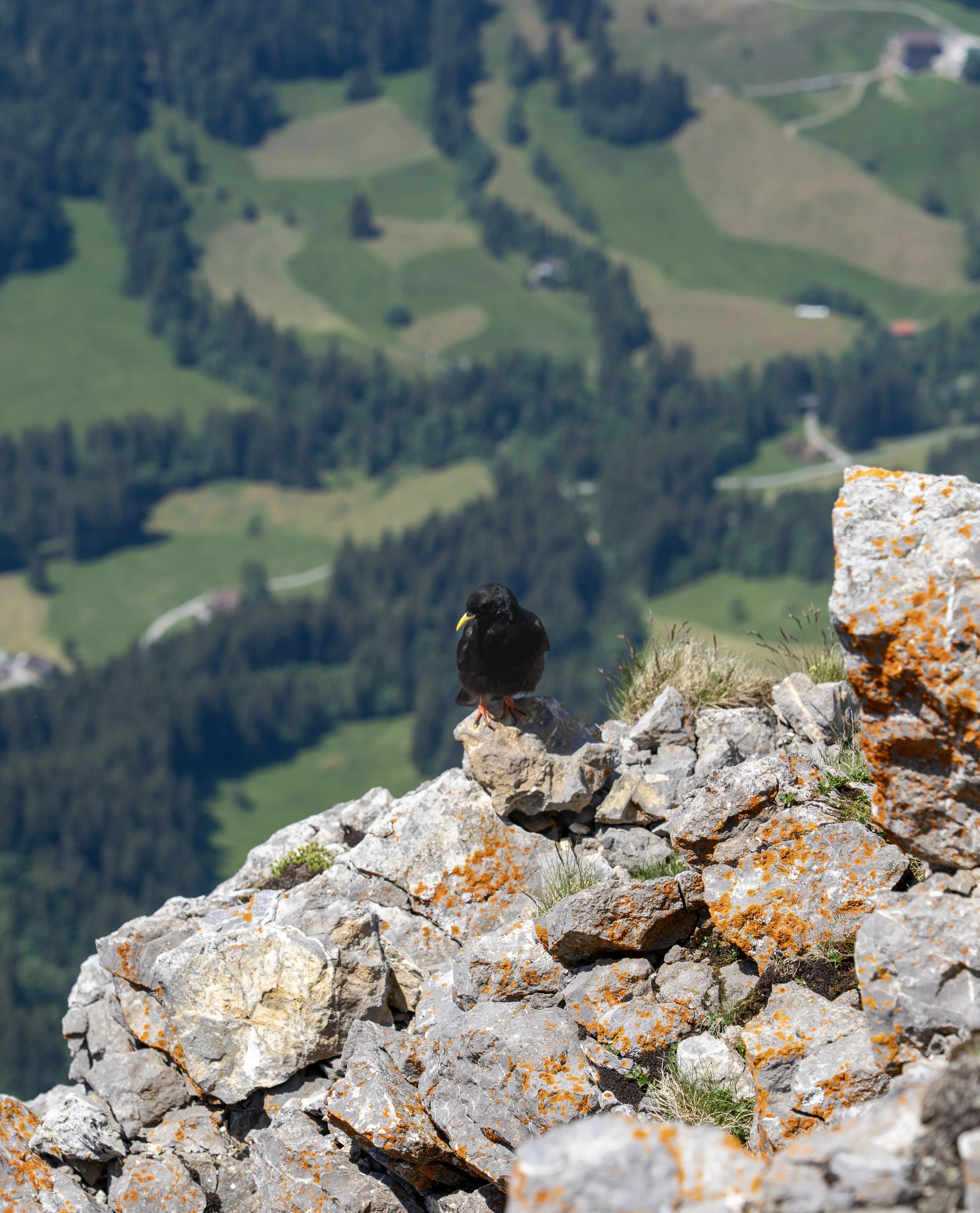 16 - Mt. Pilatus.jpg